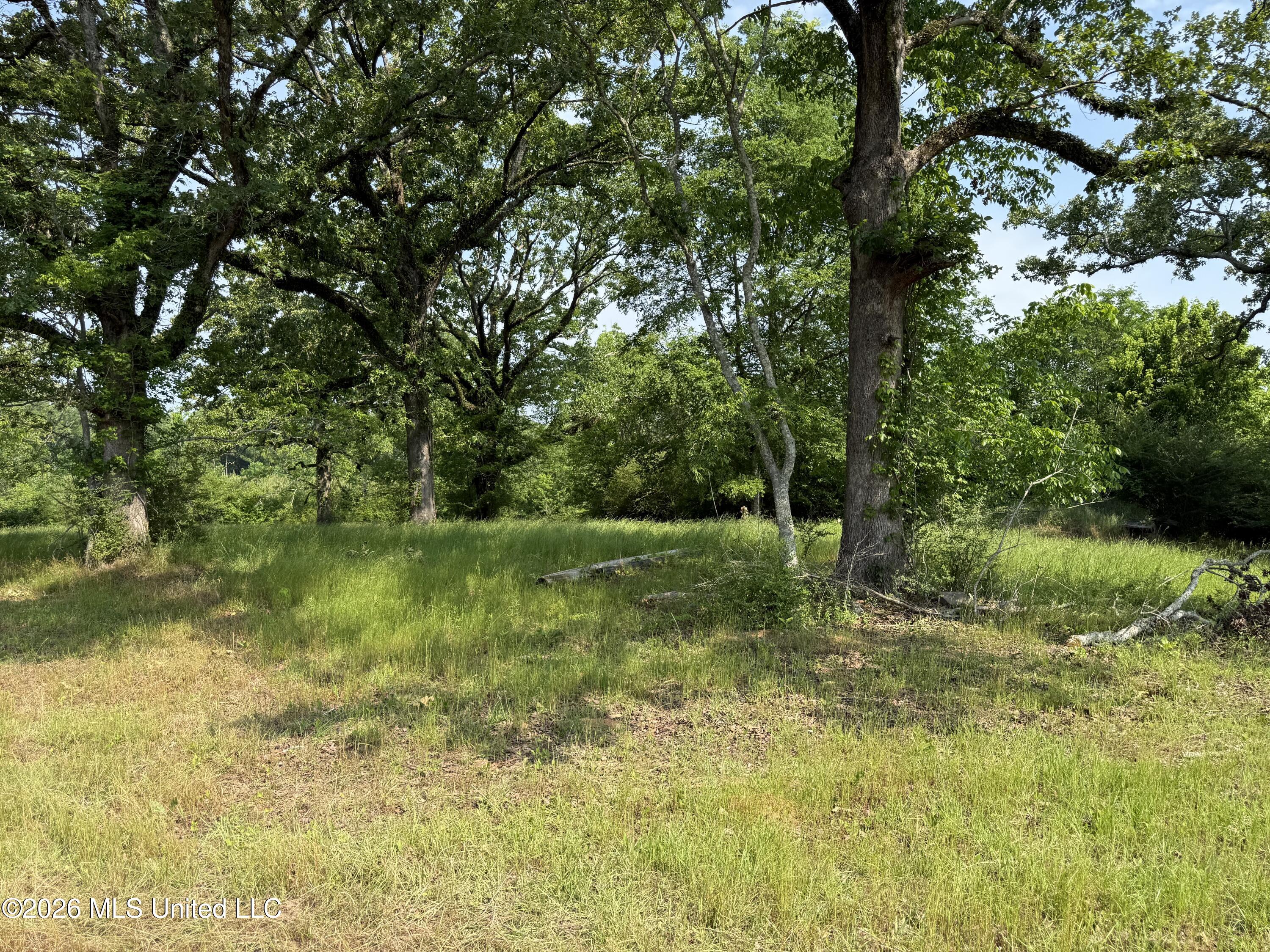 Scales Road Property Photo 20