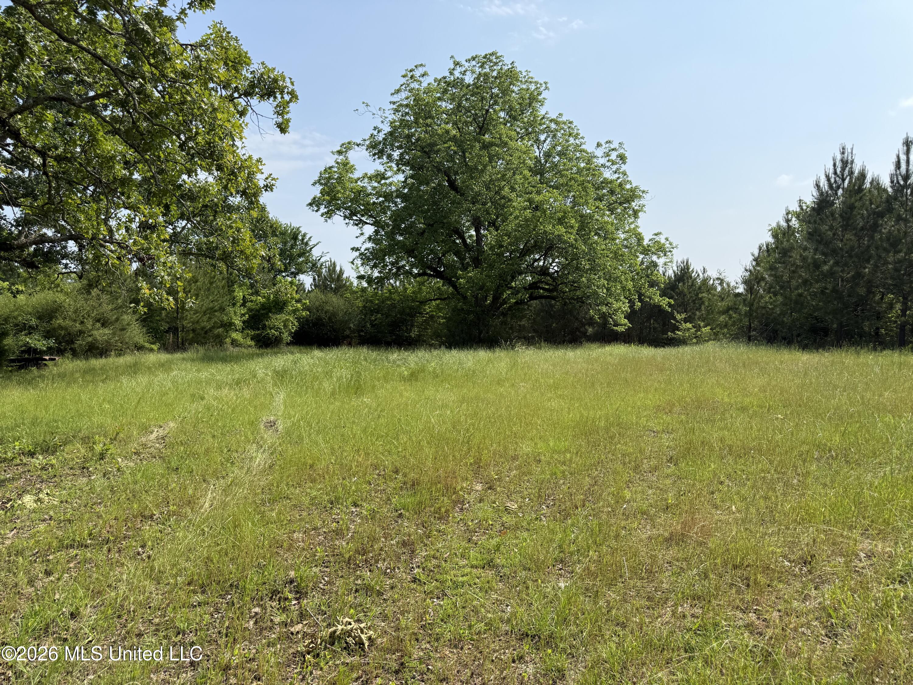 Scales Road Property Photo 21