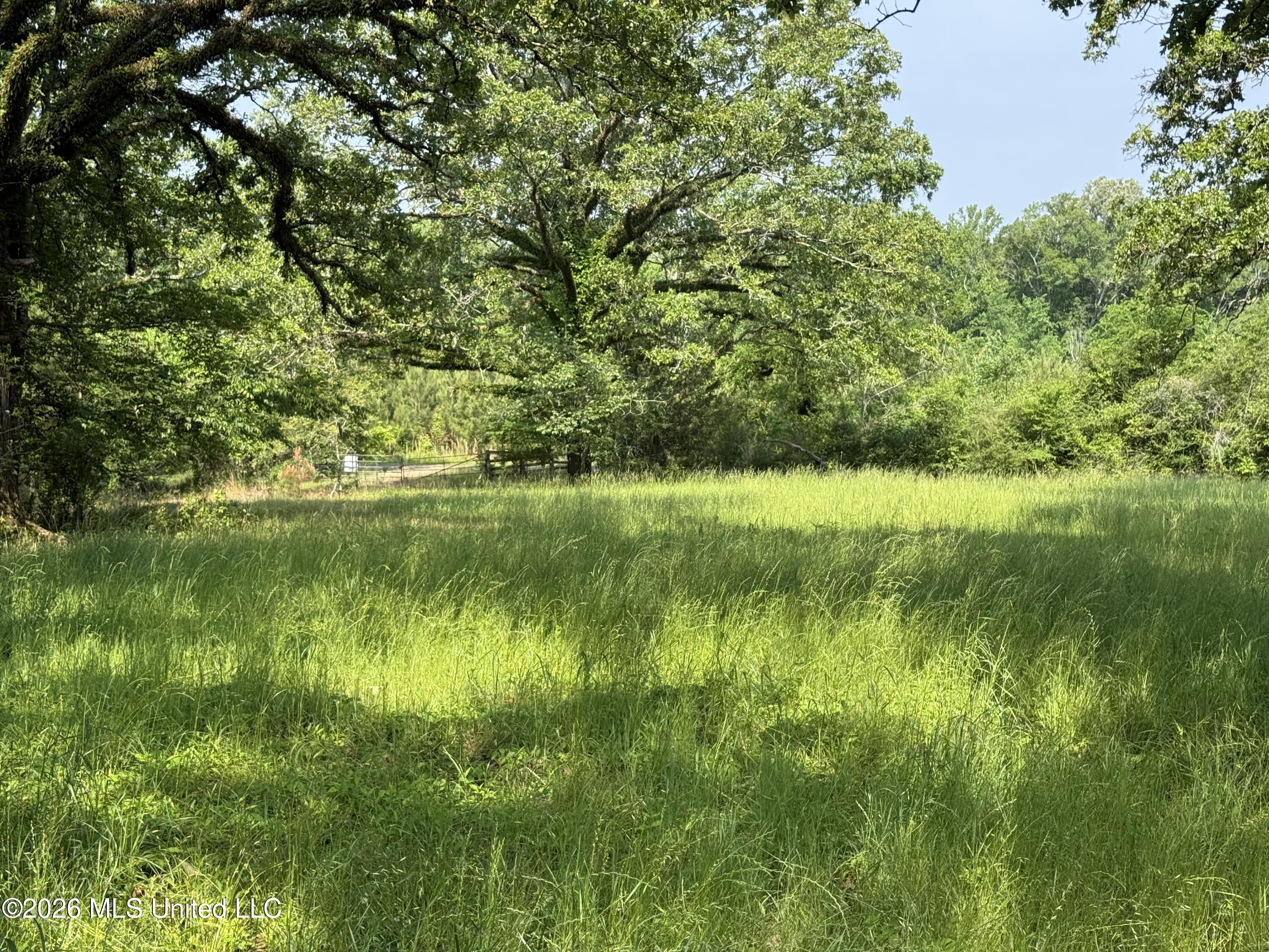 Scales Road Property Photo 22