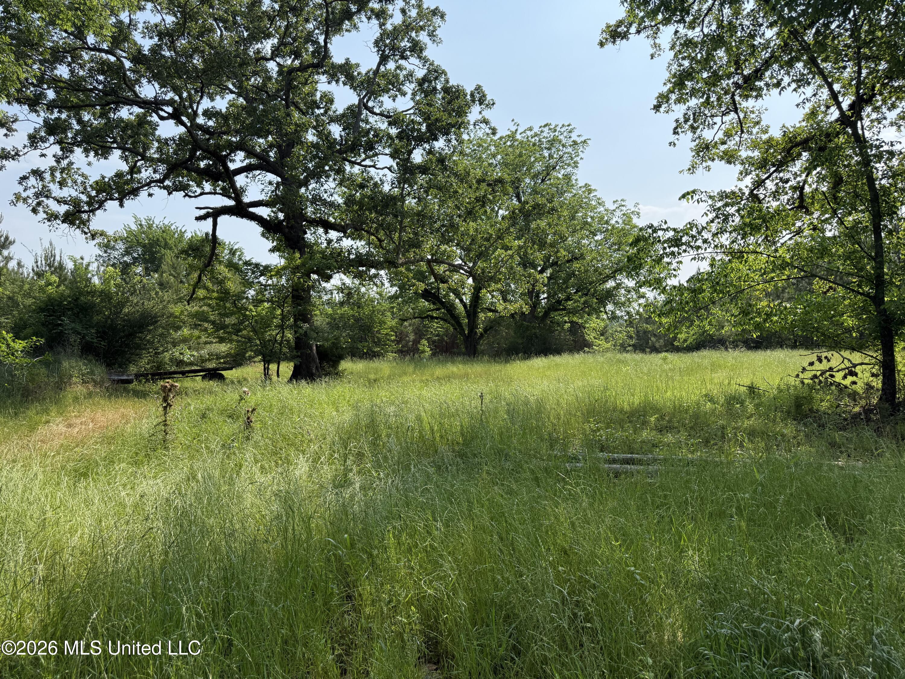 Scales Road Property Photo 23