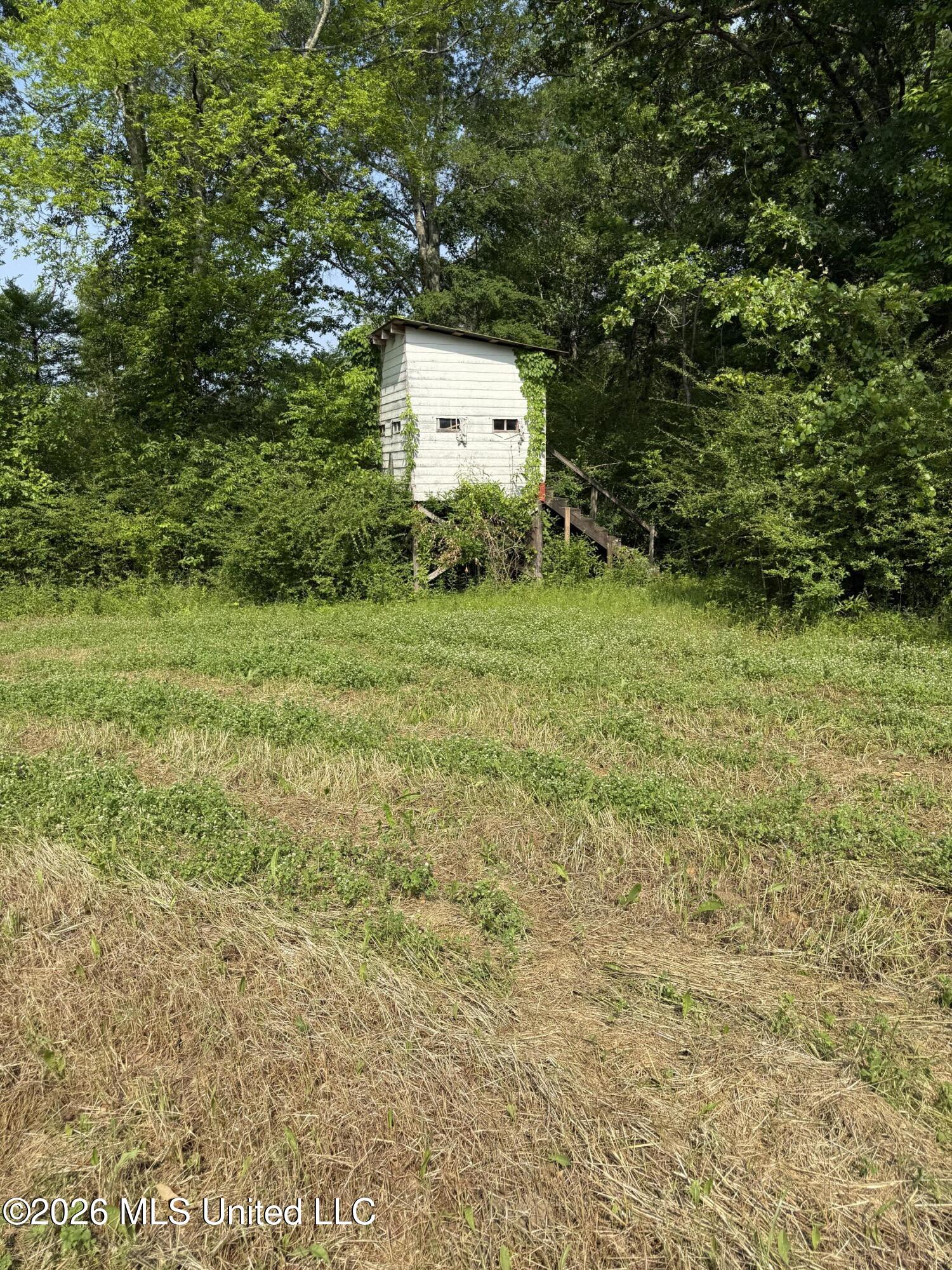 Scales Road Property Photo 26