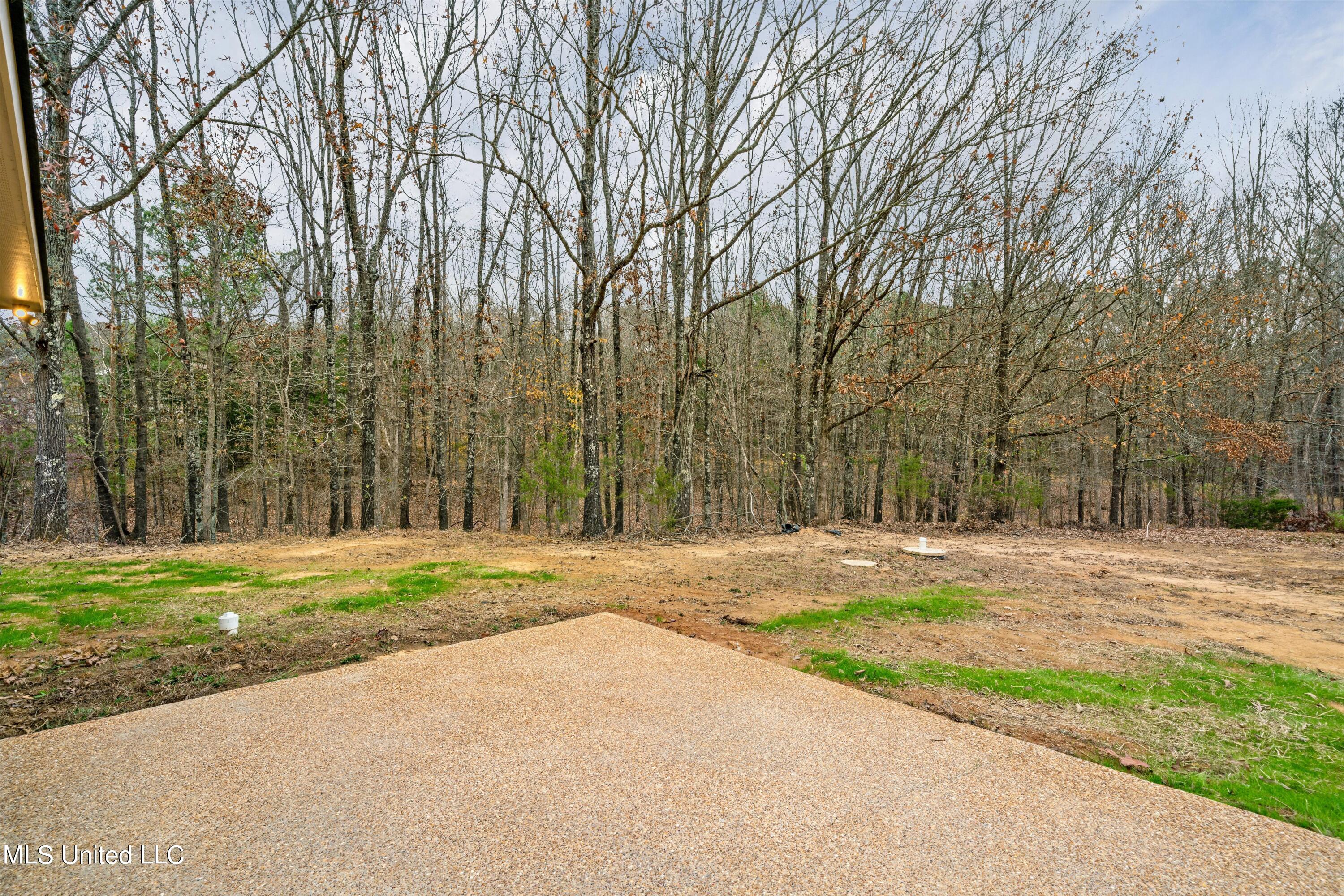 31 Scattered Oaks Drive Property Photo 28