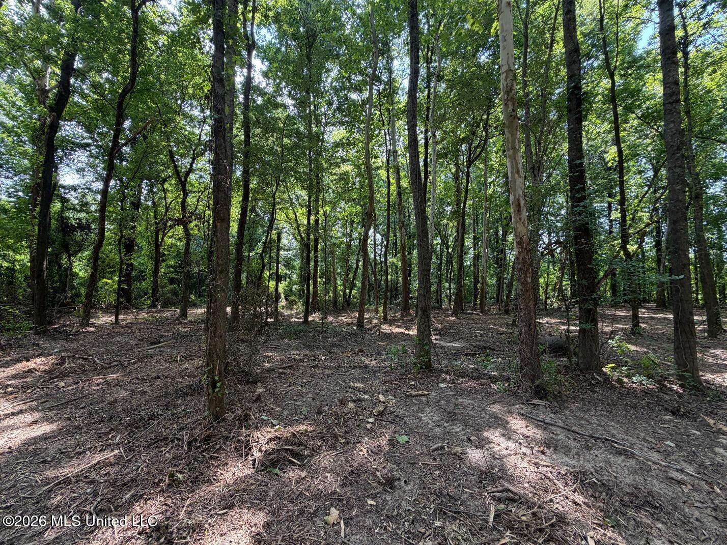 Interstate 55 Property Photo 16