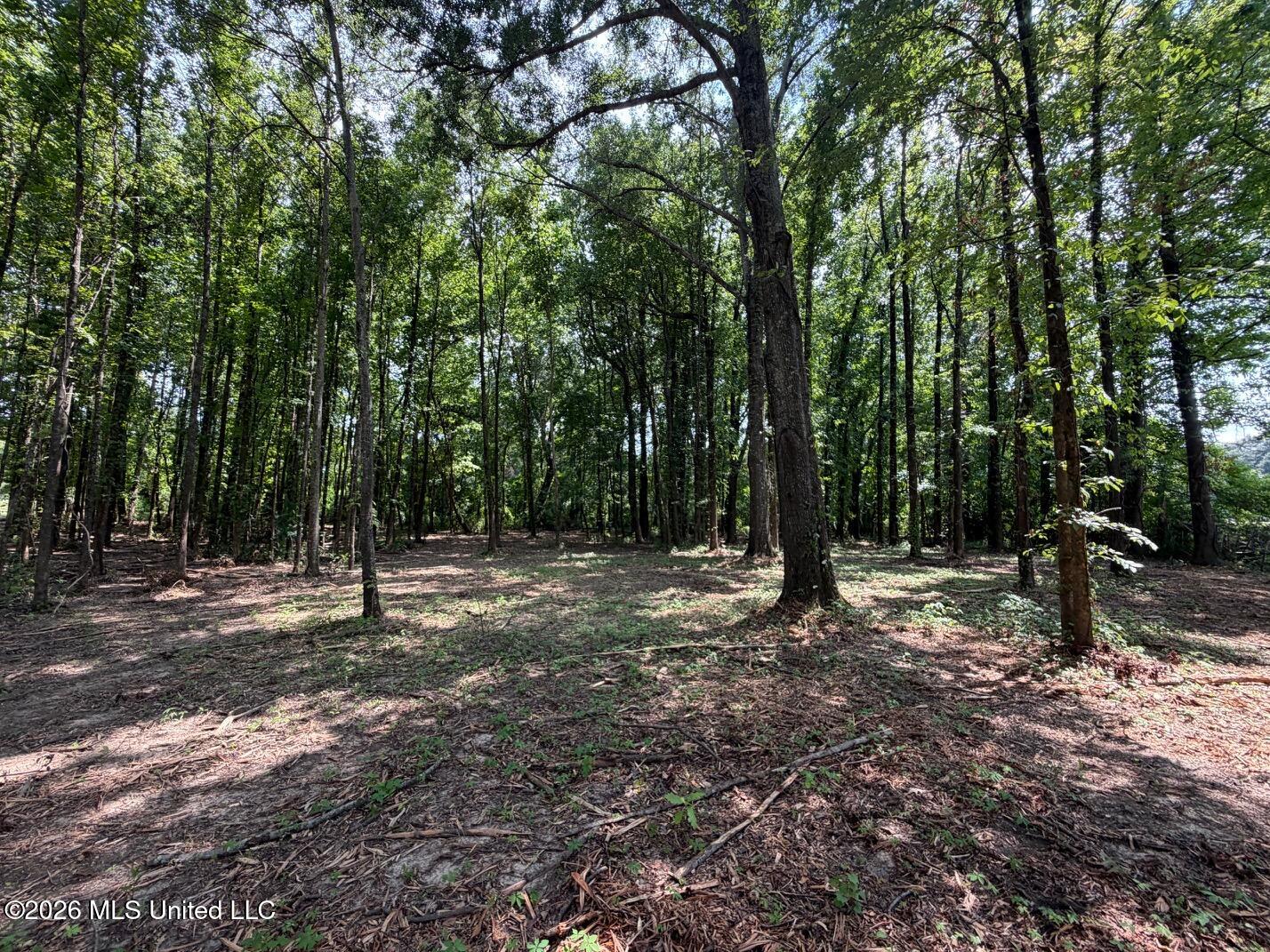 Interstate 55 Property Photo 17