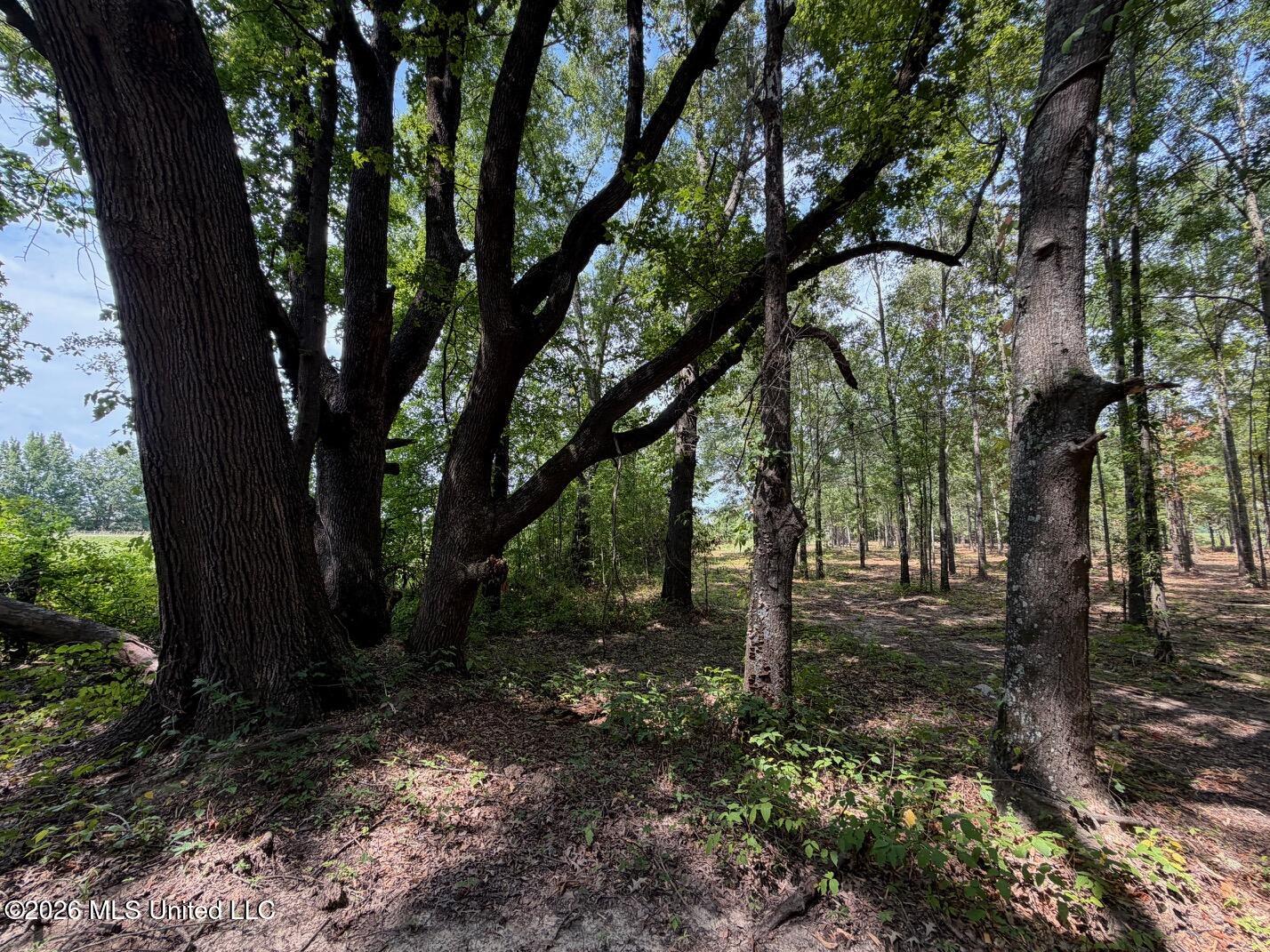 Interstate 55 Property Photo 18