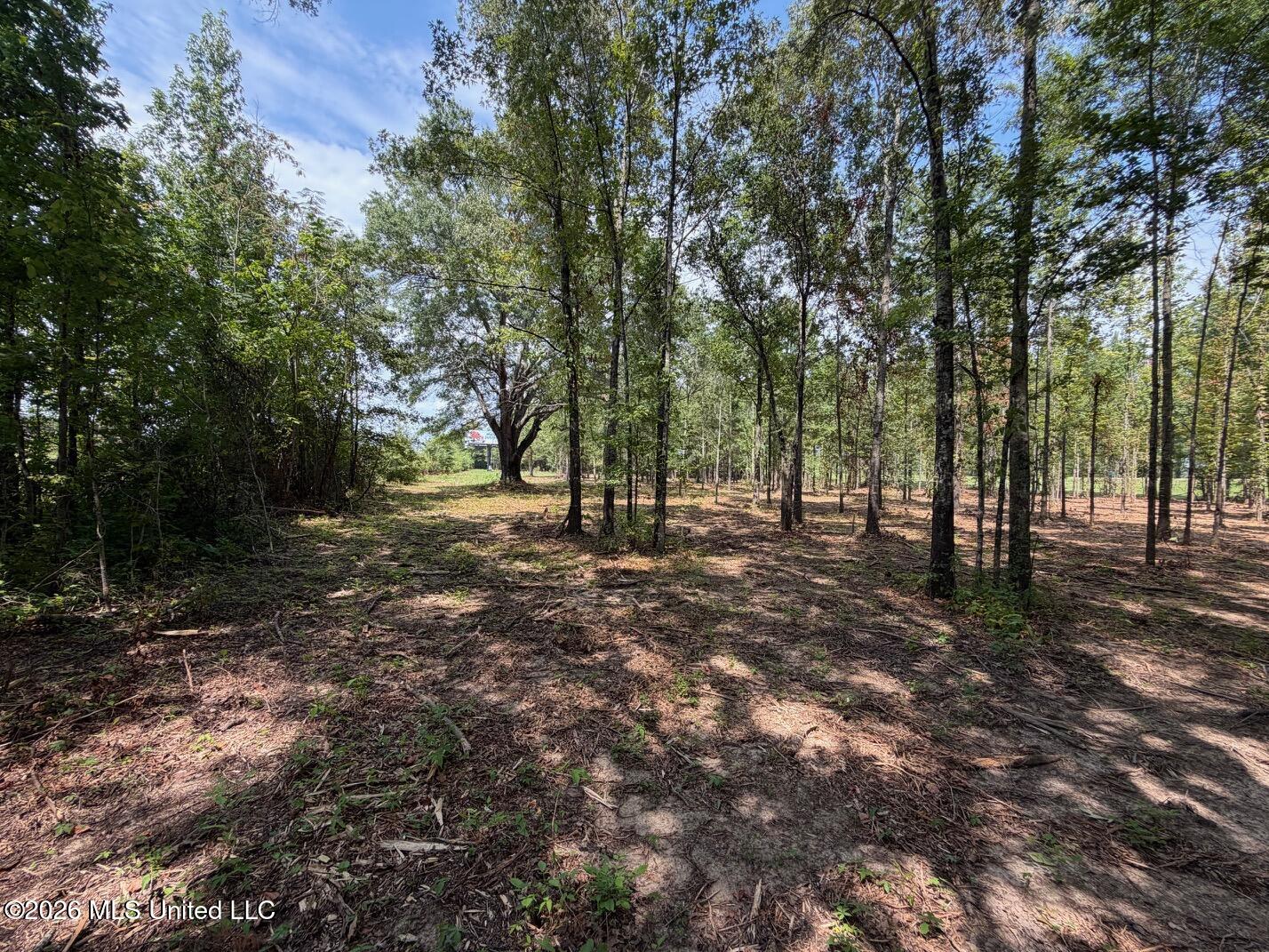 Interstate 55 Property Photo 20