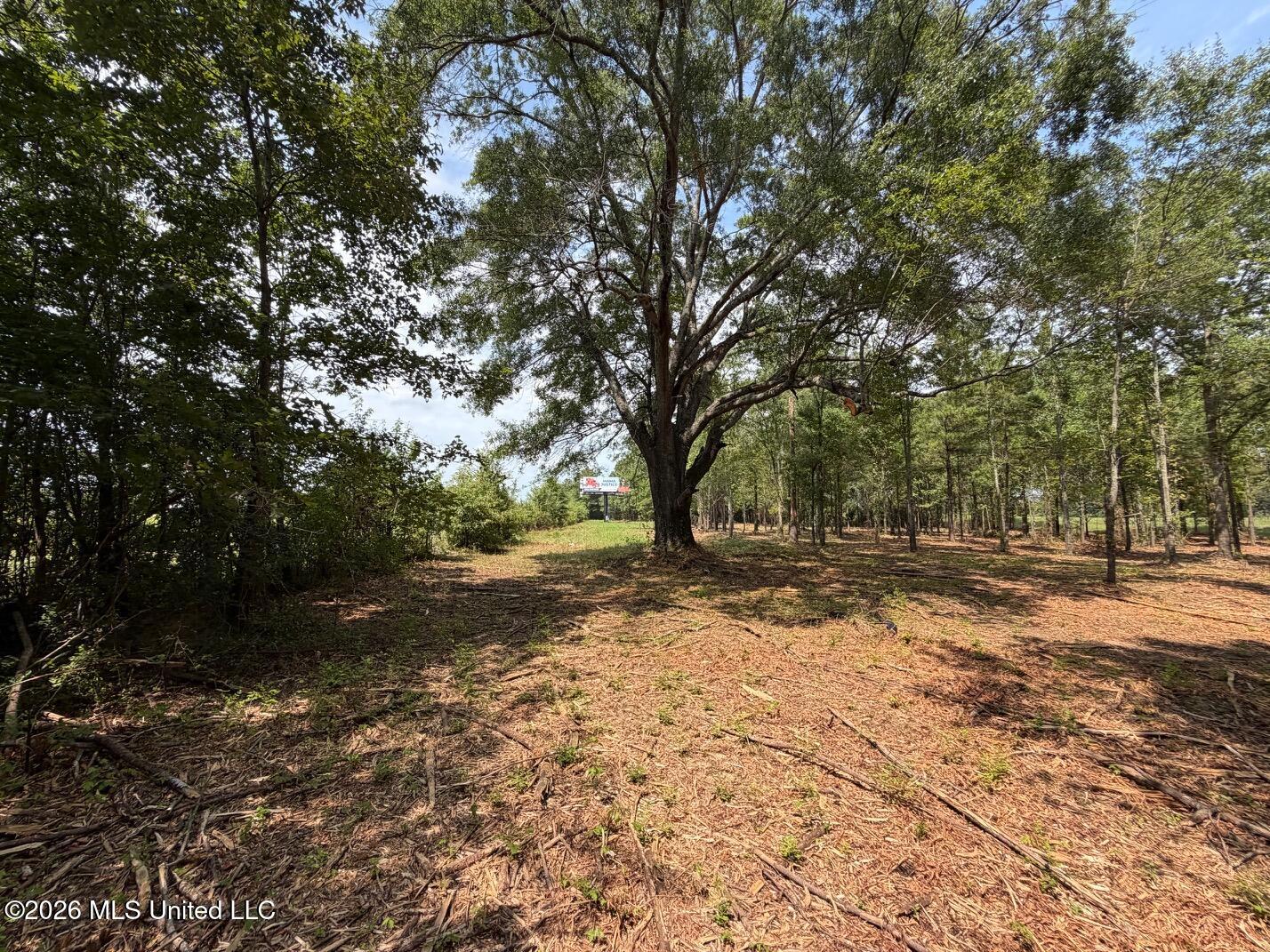 Interstate 55 Property Photo 21