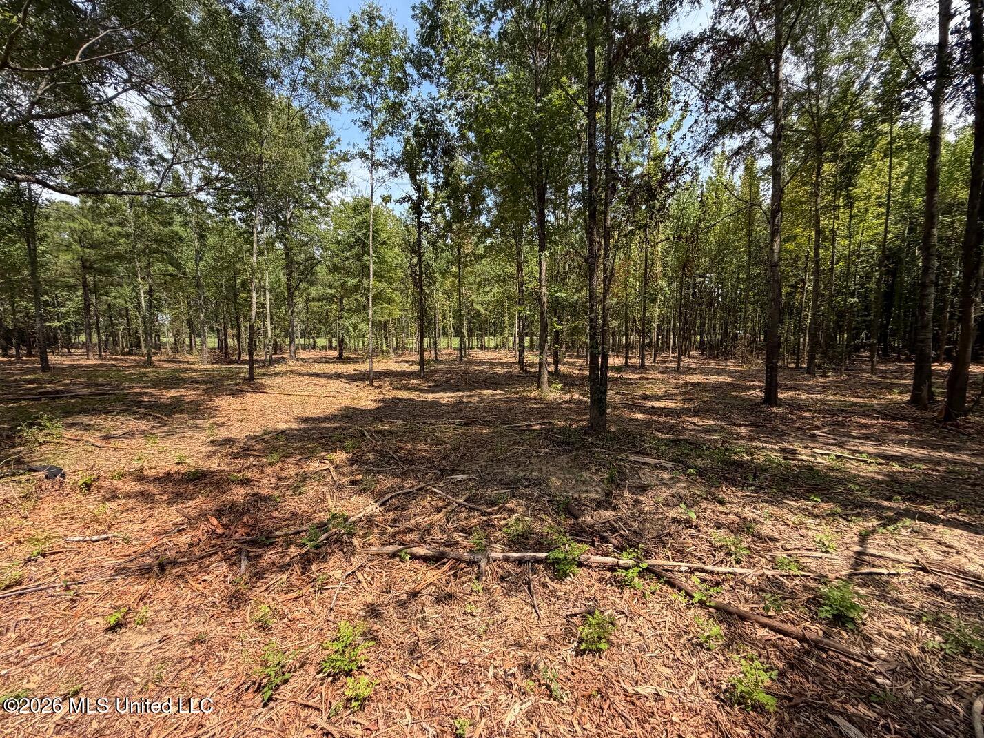 Interstate 55 Property Photo 22