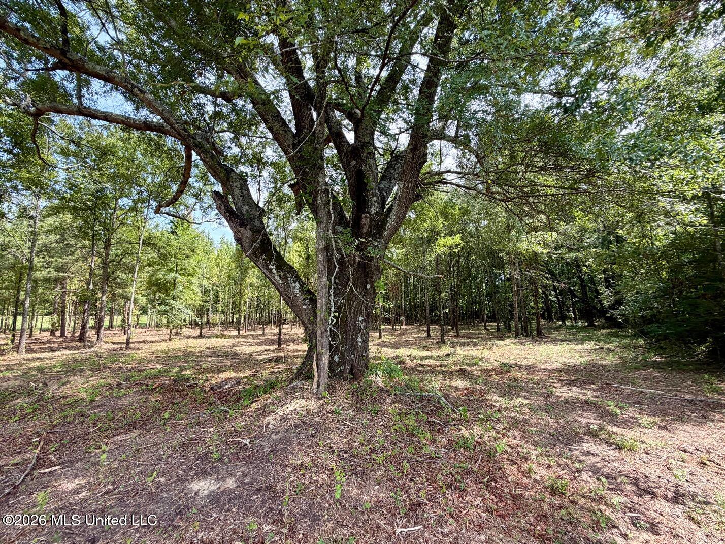 Interstate 55 Property Photo 24