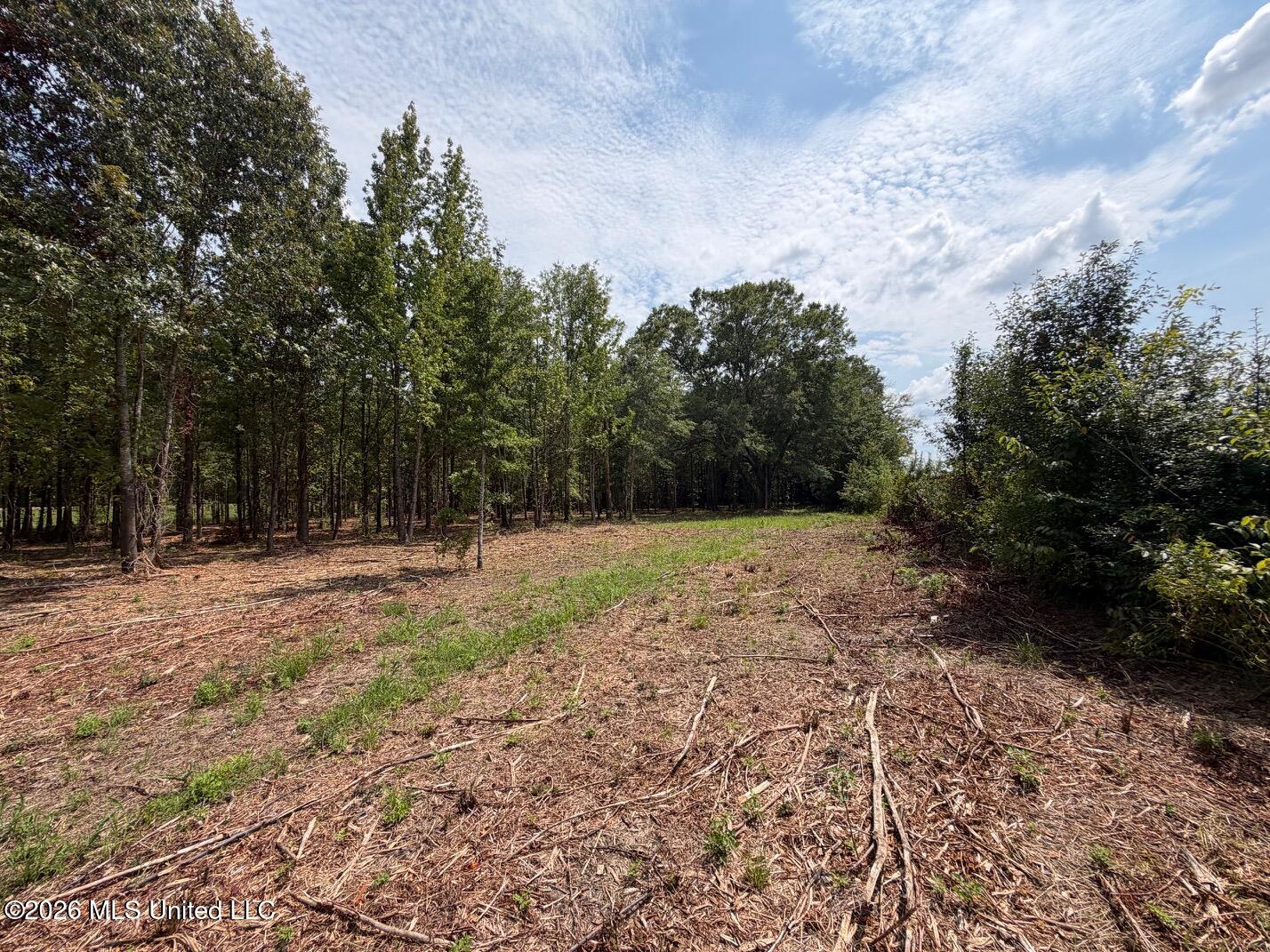 Interstate 55 Property Photo 25