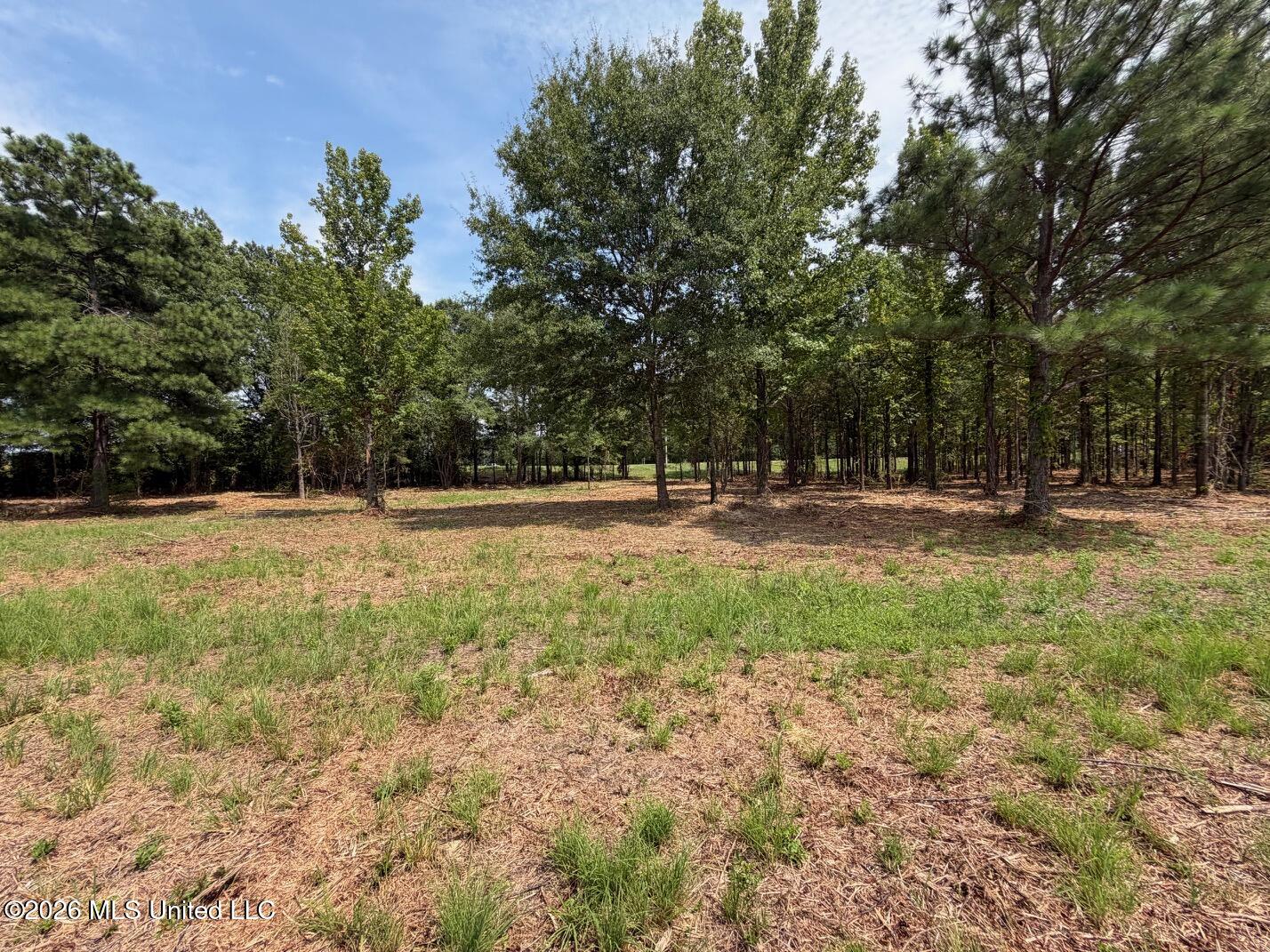 Interstate 55 Property Photo 26