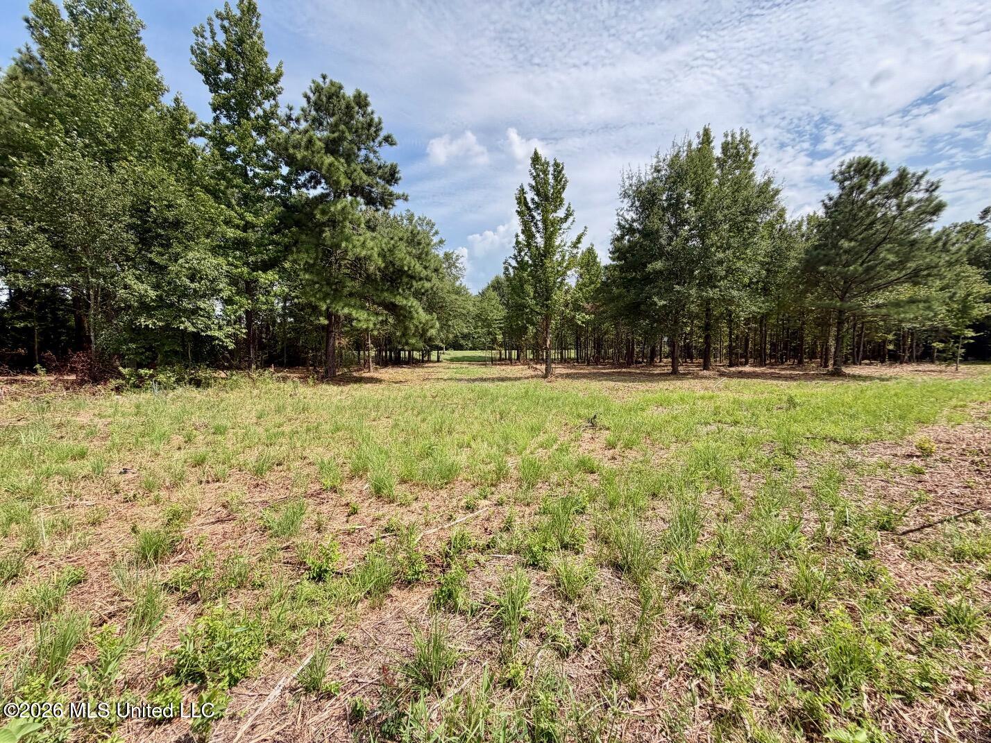 Interstate 55 Property Photo 28