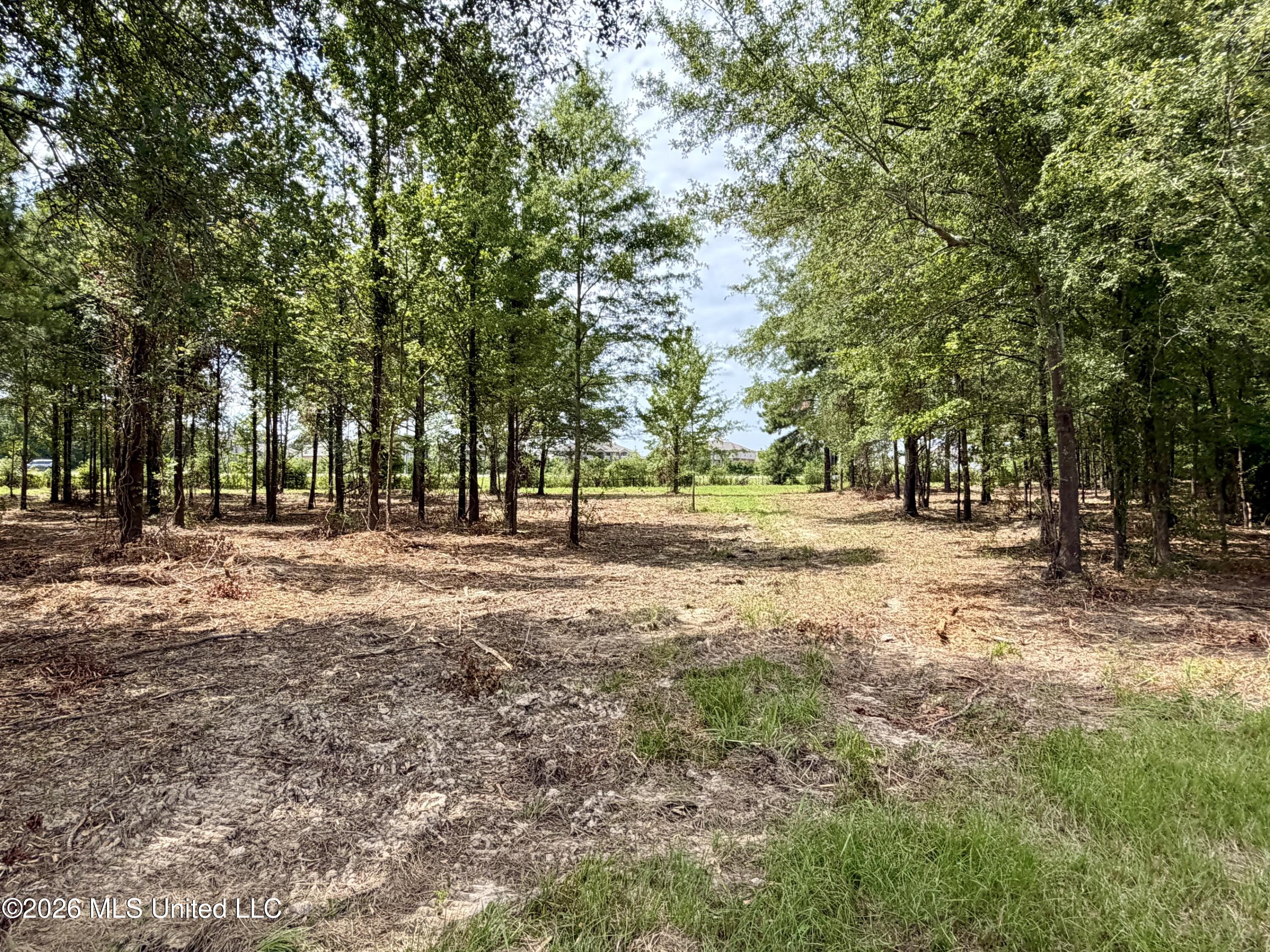 Interstate 55 Property Photo 30