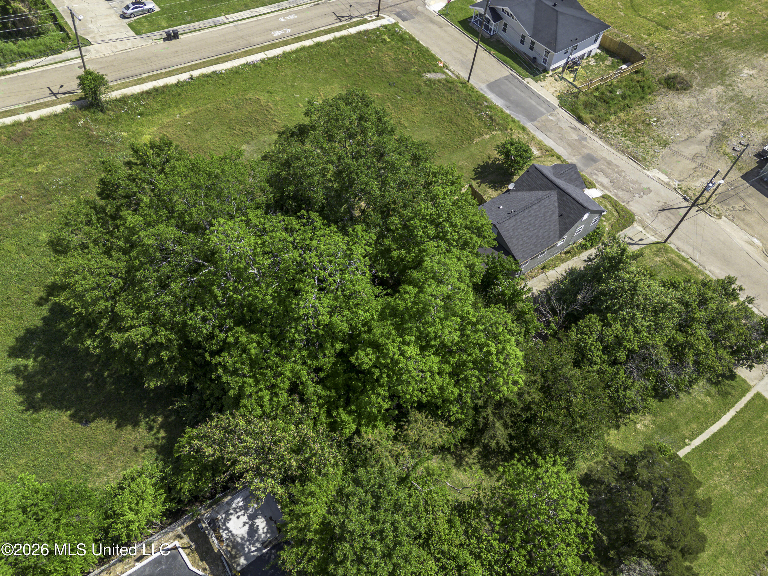 617 Rio Property Photo 56