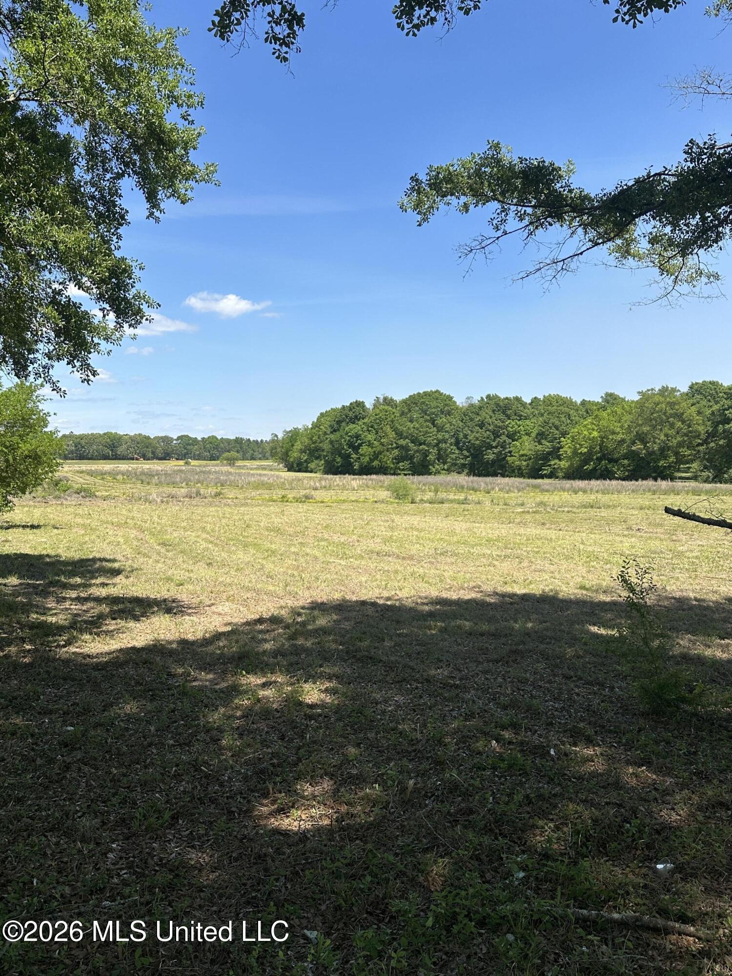 Holly Bush Road Property Photo 1