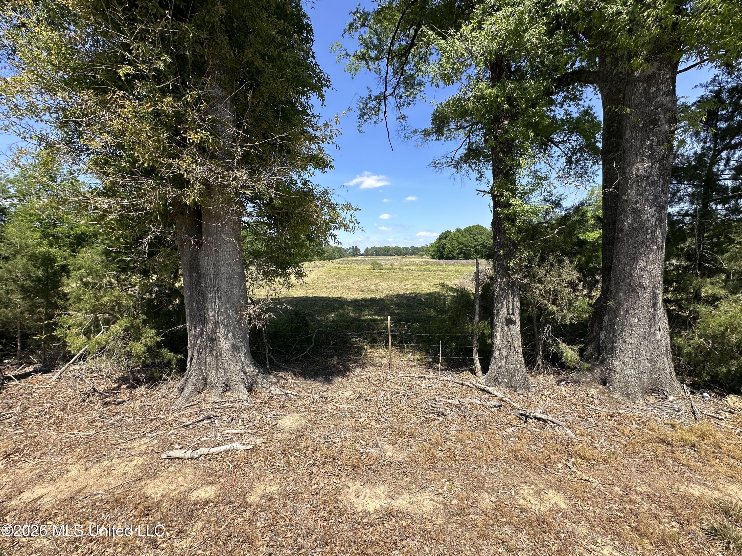 Holly Bush Road Property Photo 3