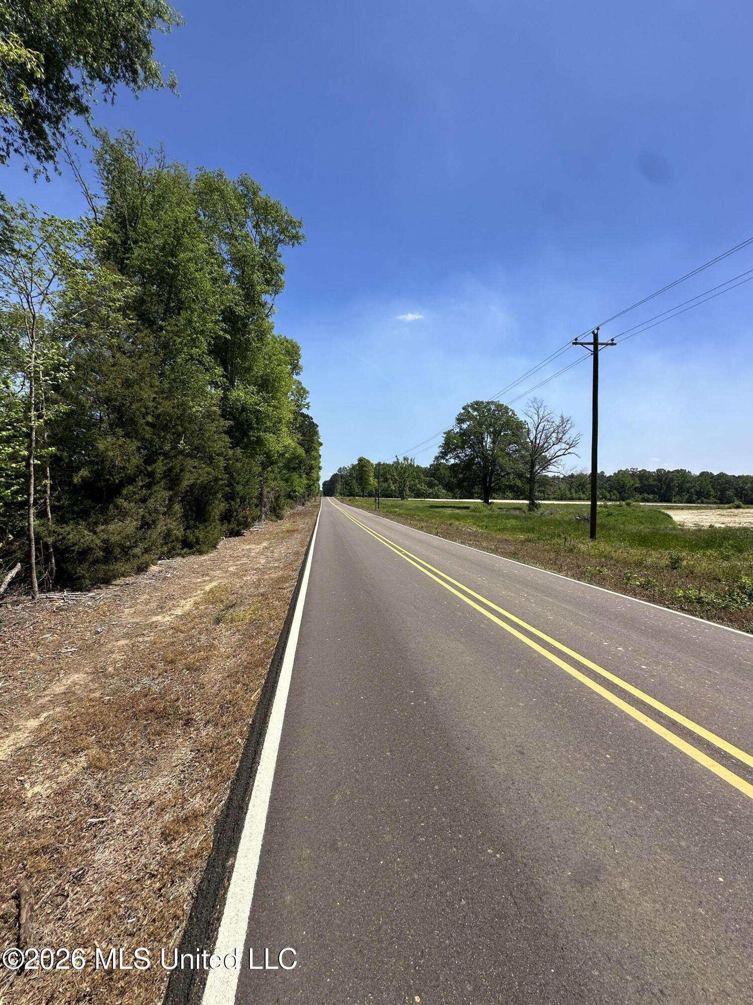 Holly Bush Road Property Photo 4