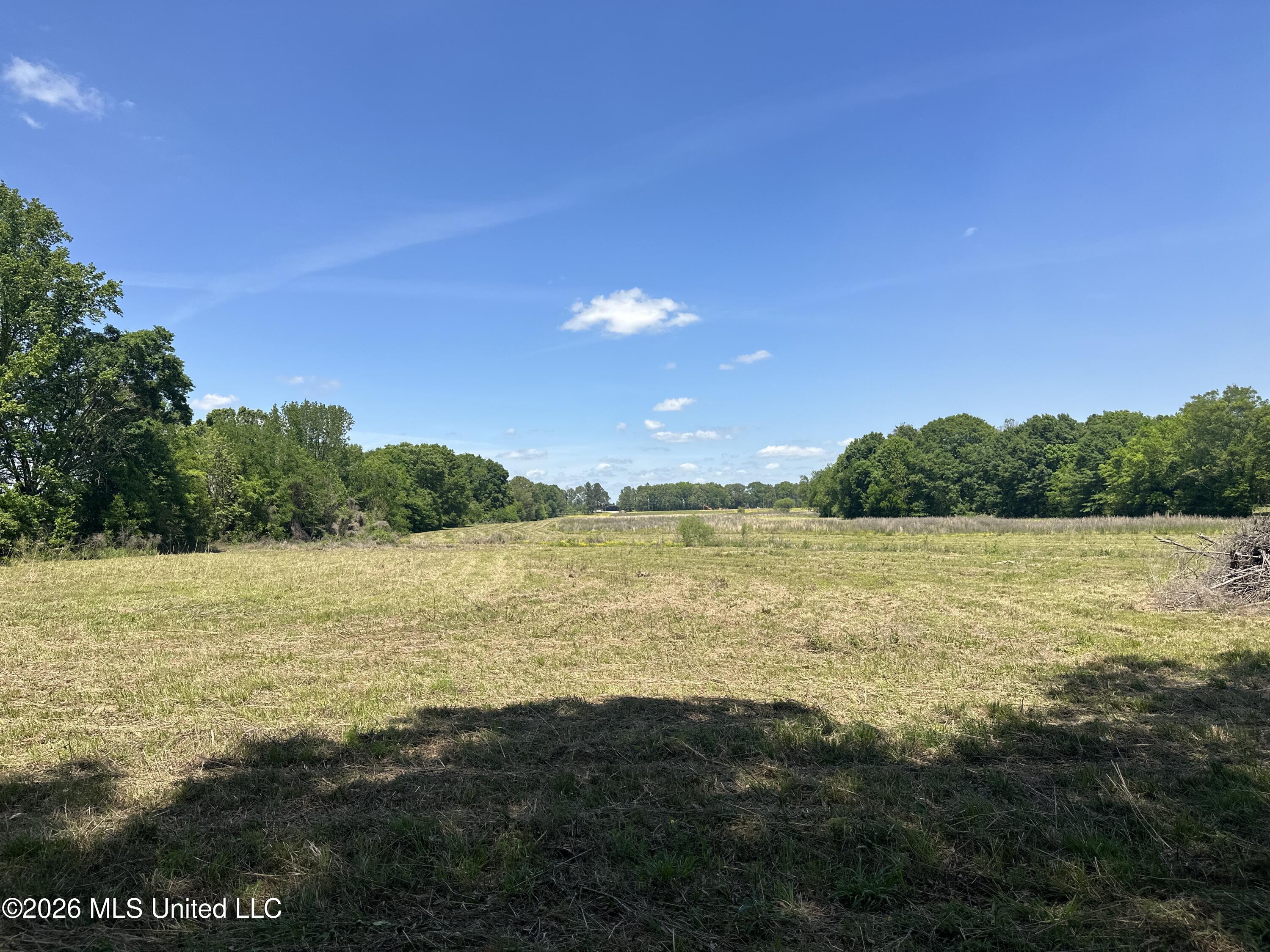 Holly Bush Road Property Photo 5