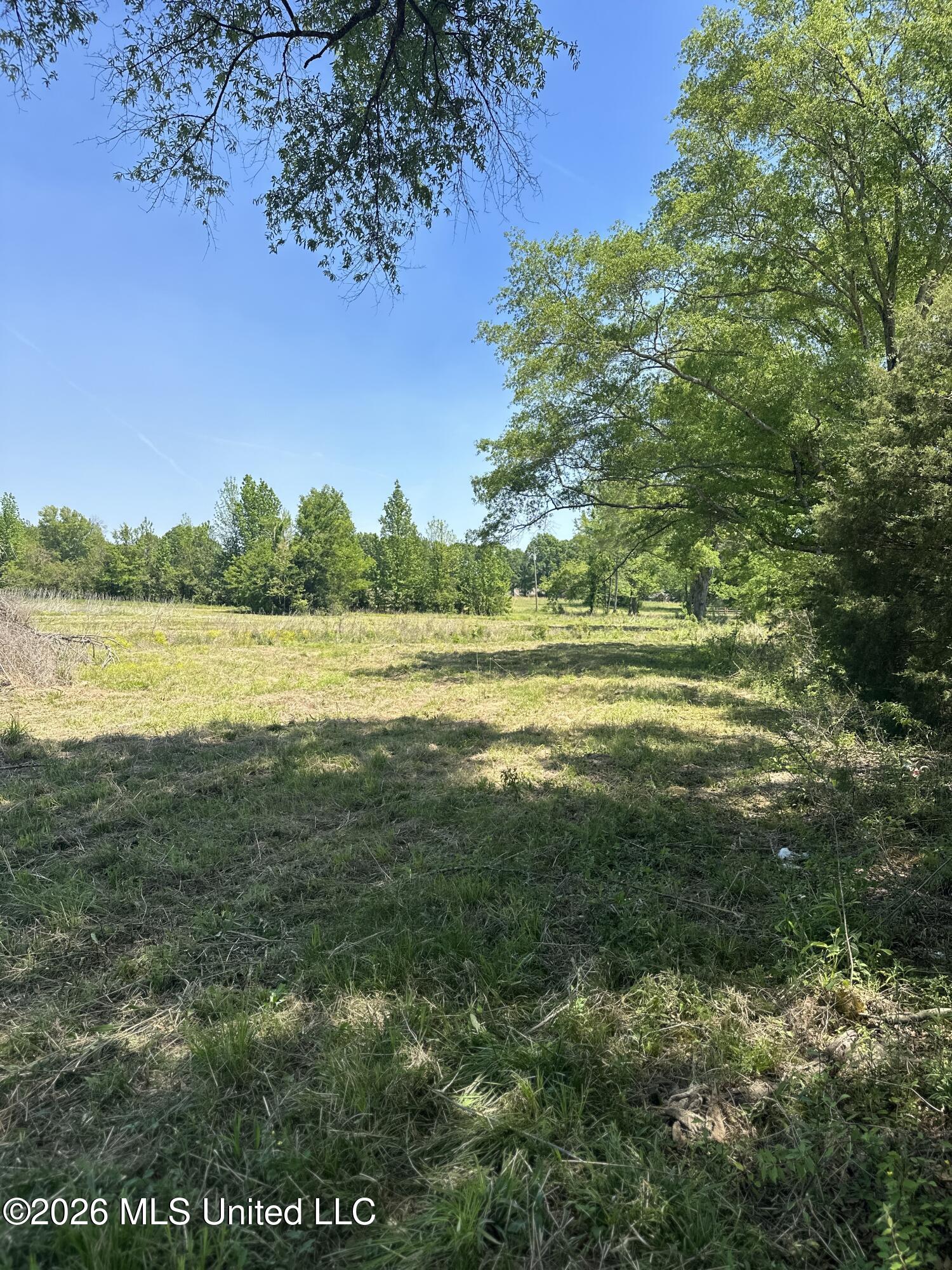 Holly Bush Road Property Photo 6