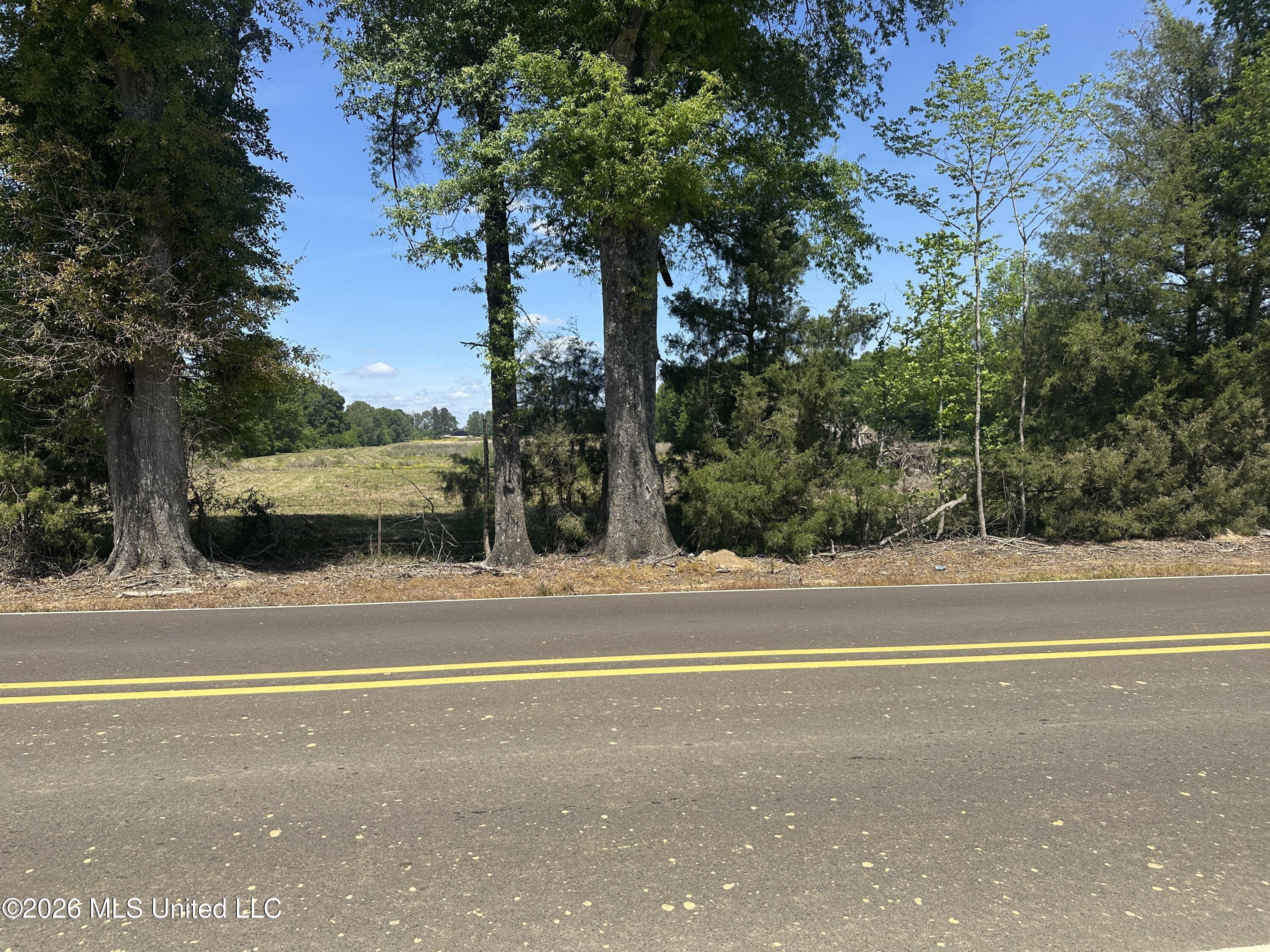 Holly Bush Road Property Photo 7