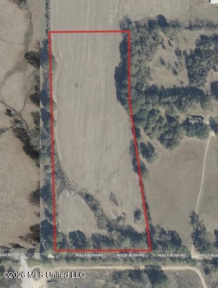 Holly Bush Road Property Photo 8