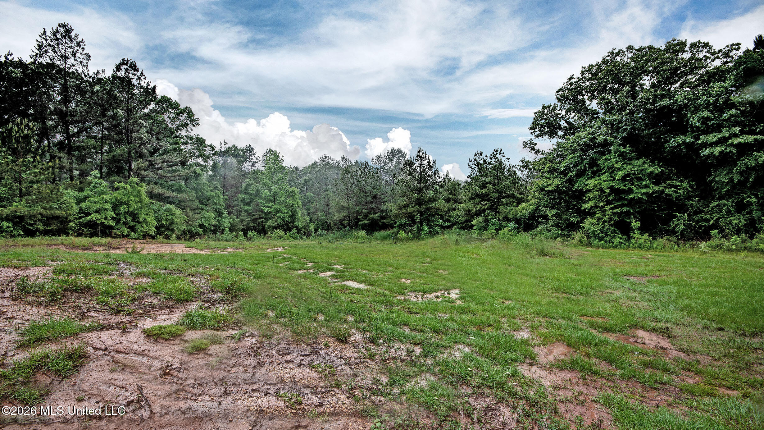 155 Dewitt Flynt Road Property Photo 29