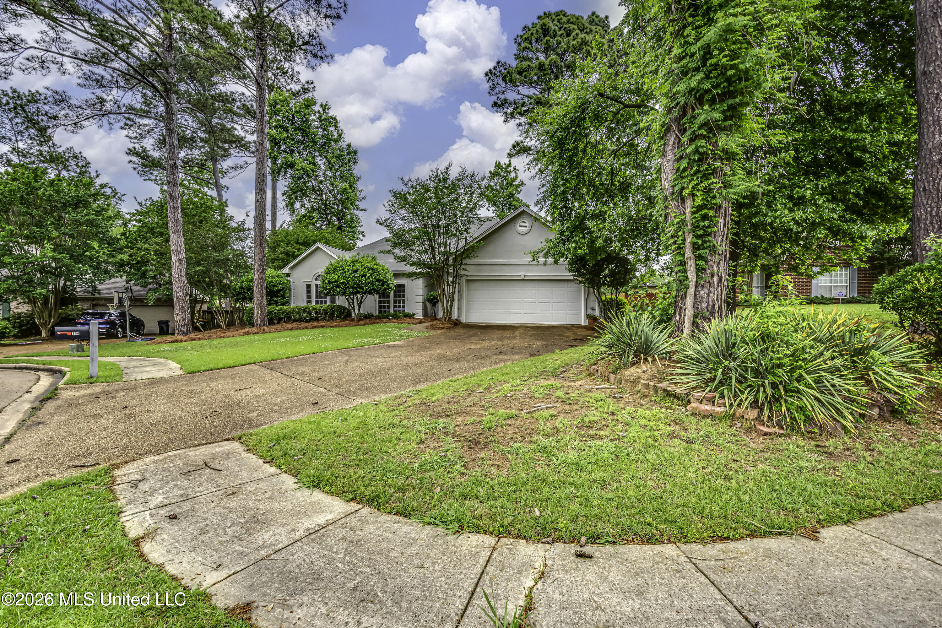 304 Beech Cove Property Photo 4