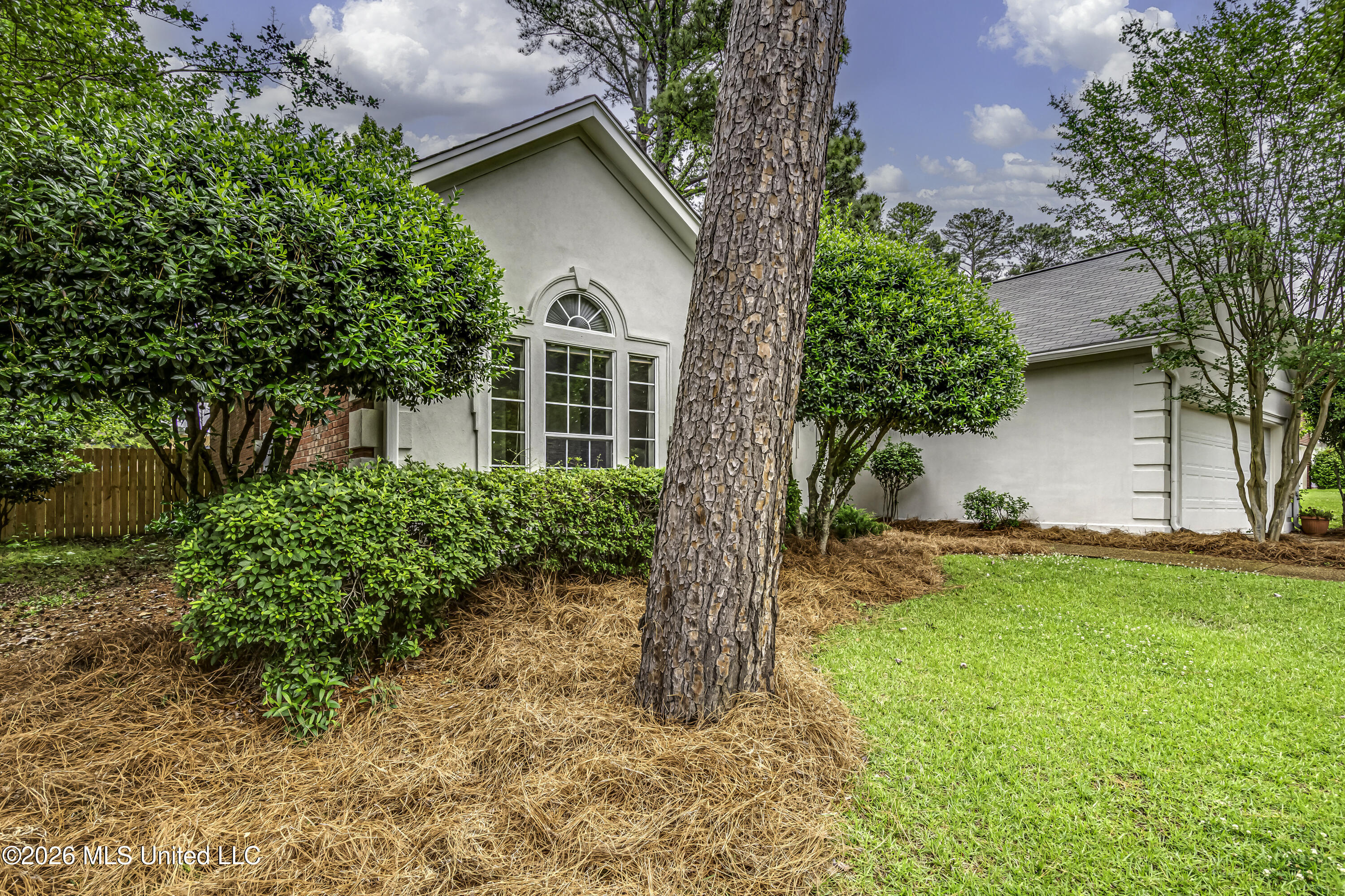 304 Beech Cove Property Photo 5