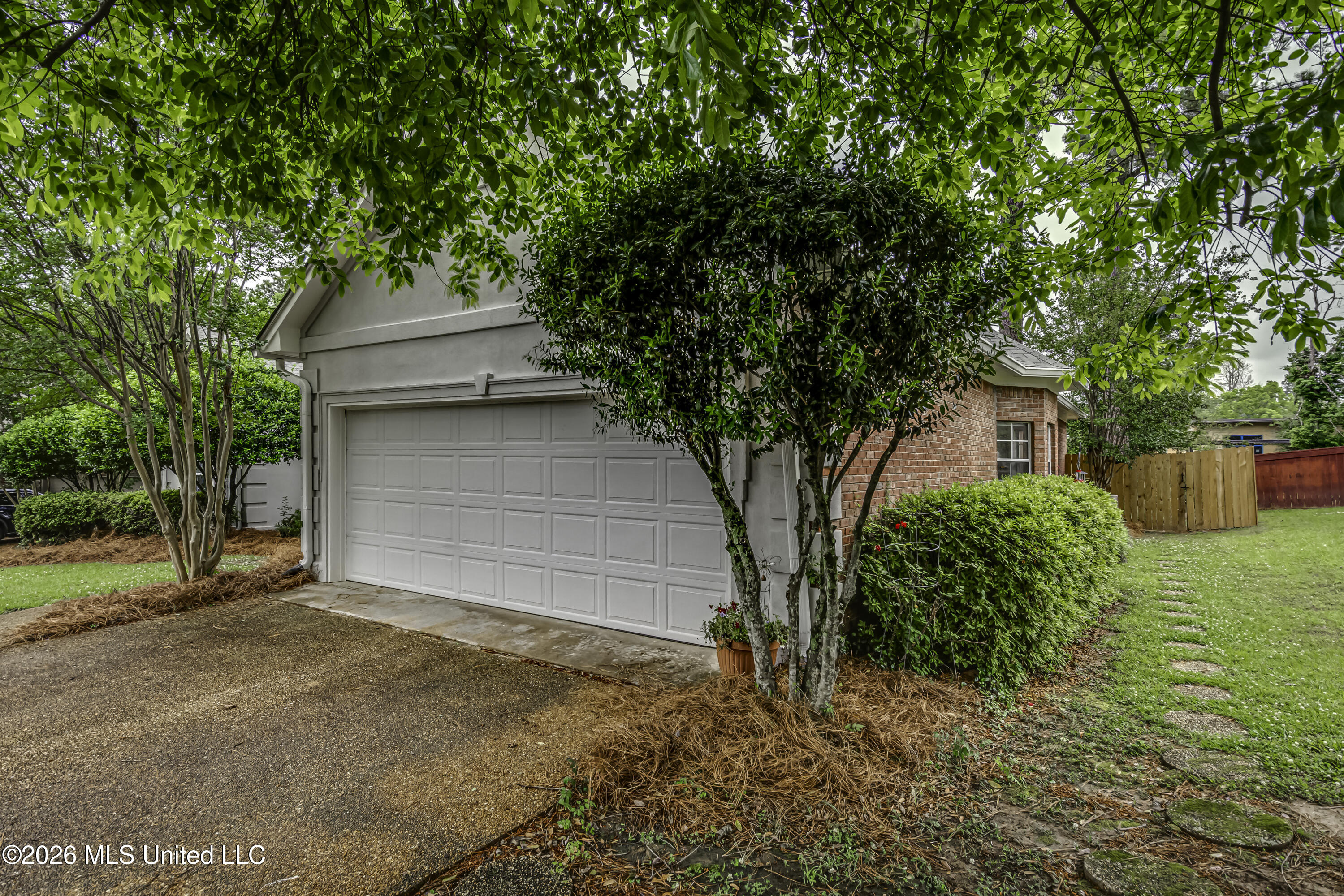 304 Beech Cove Property Photo 6