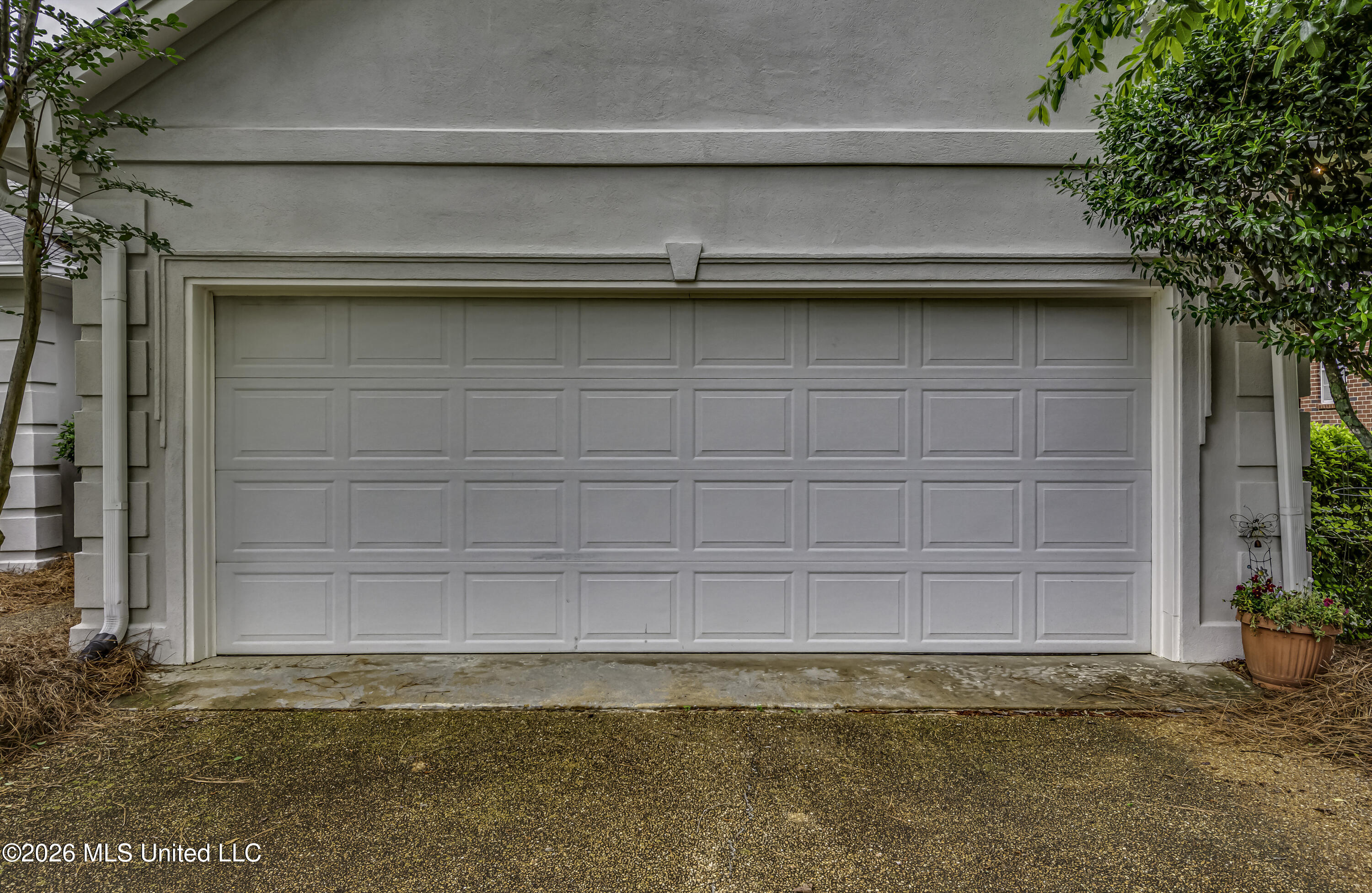 304 Beech Cove Property Photo 8