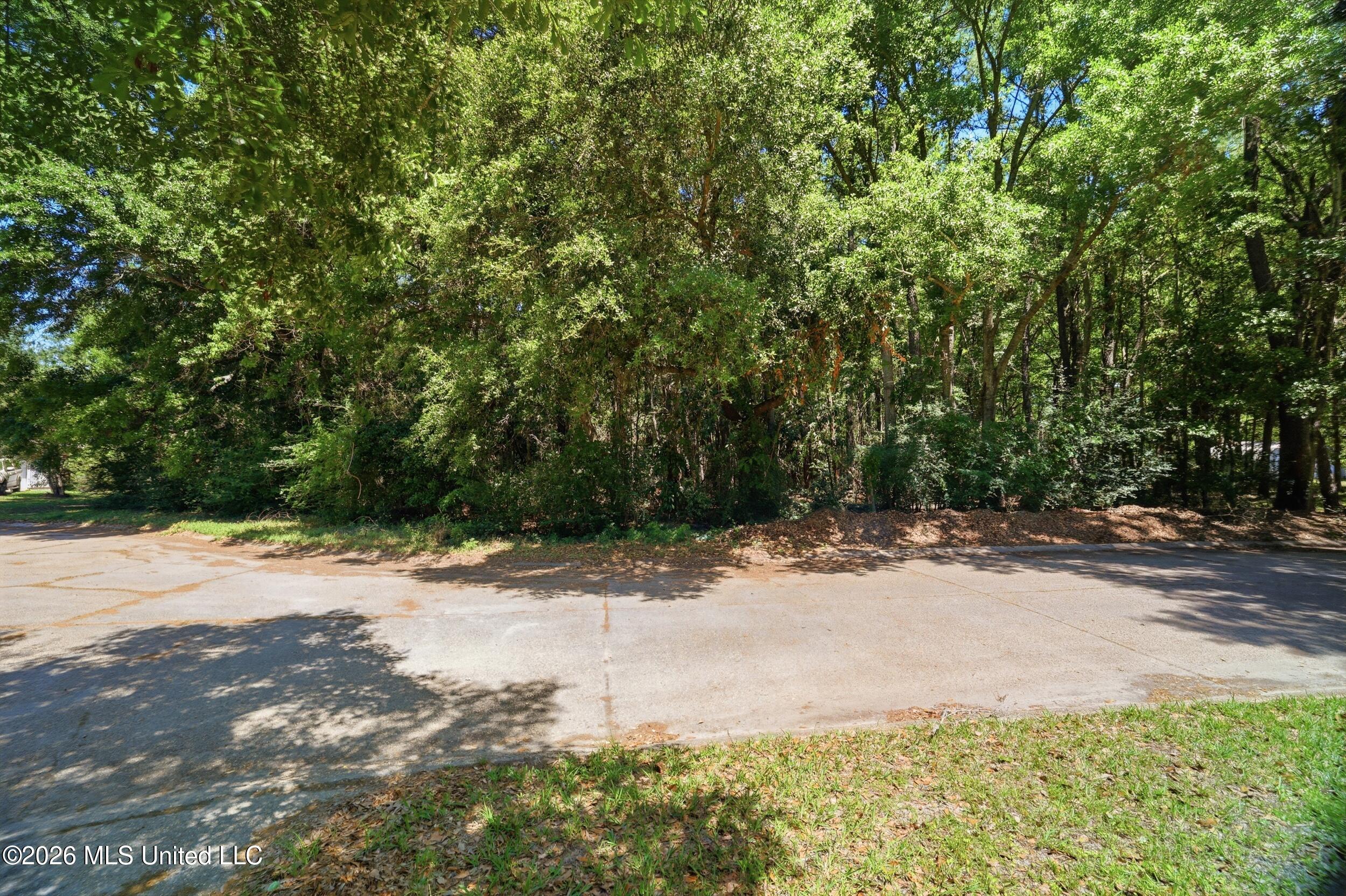 Sioux Bayou Drive Property Photo 22
