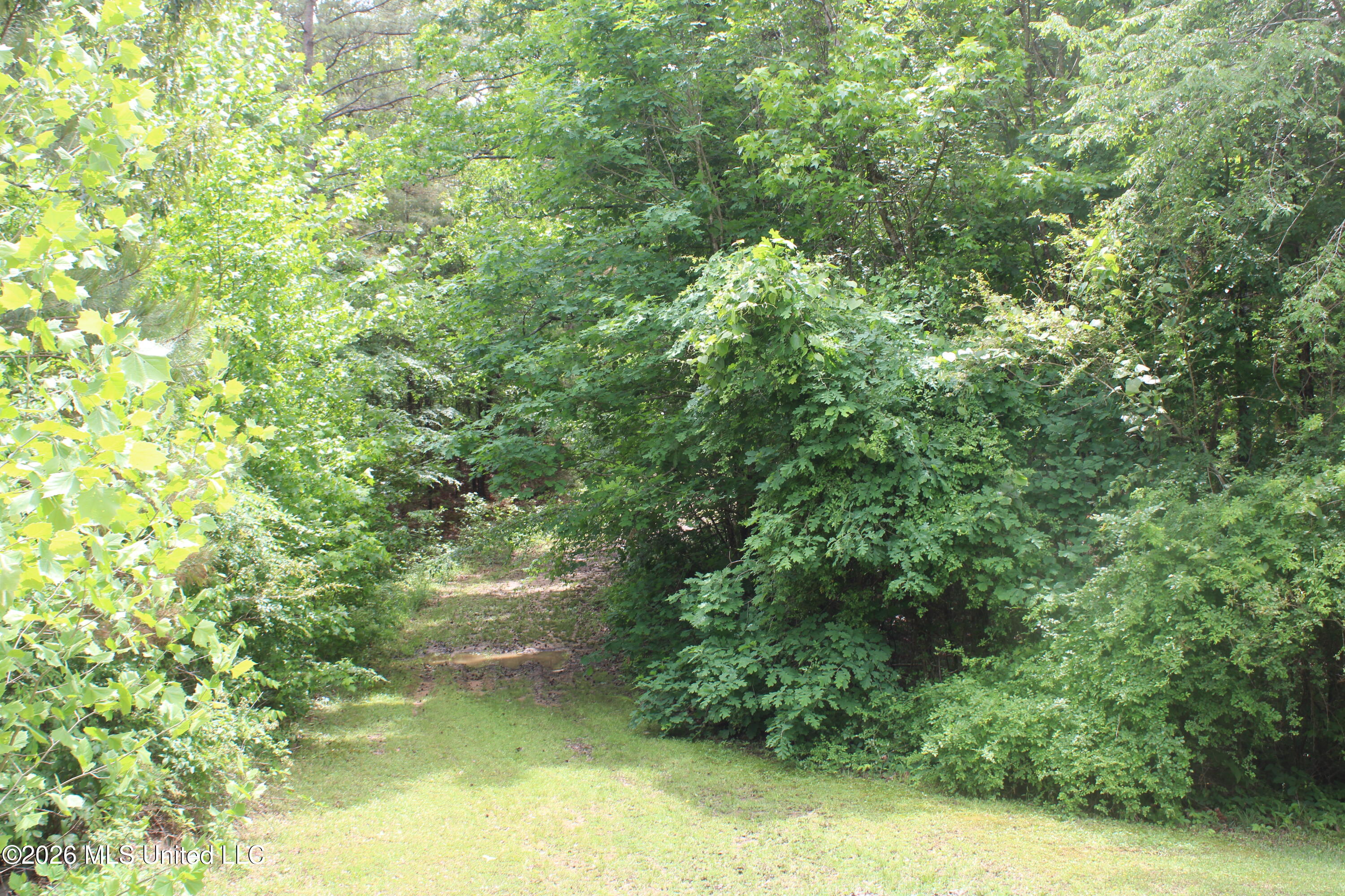 590 Richmond Road Property Photo 2