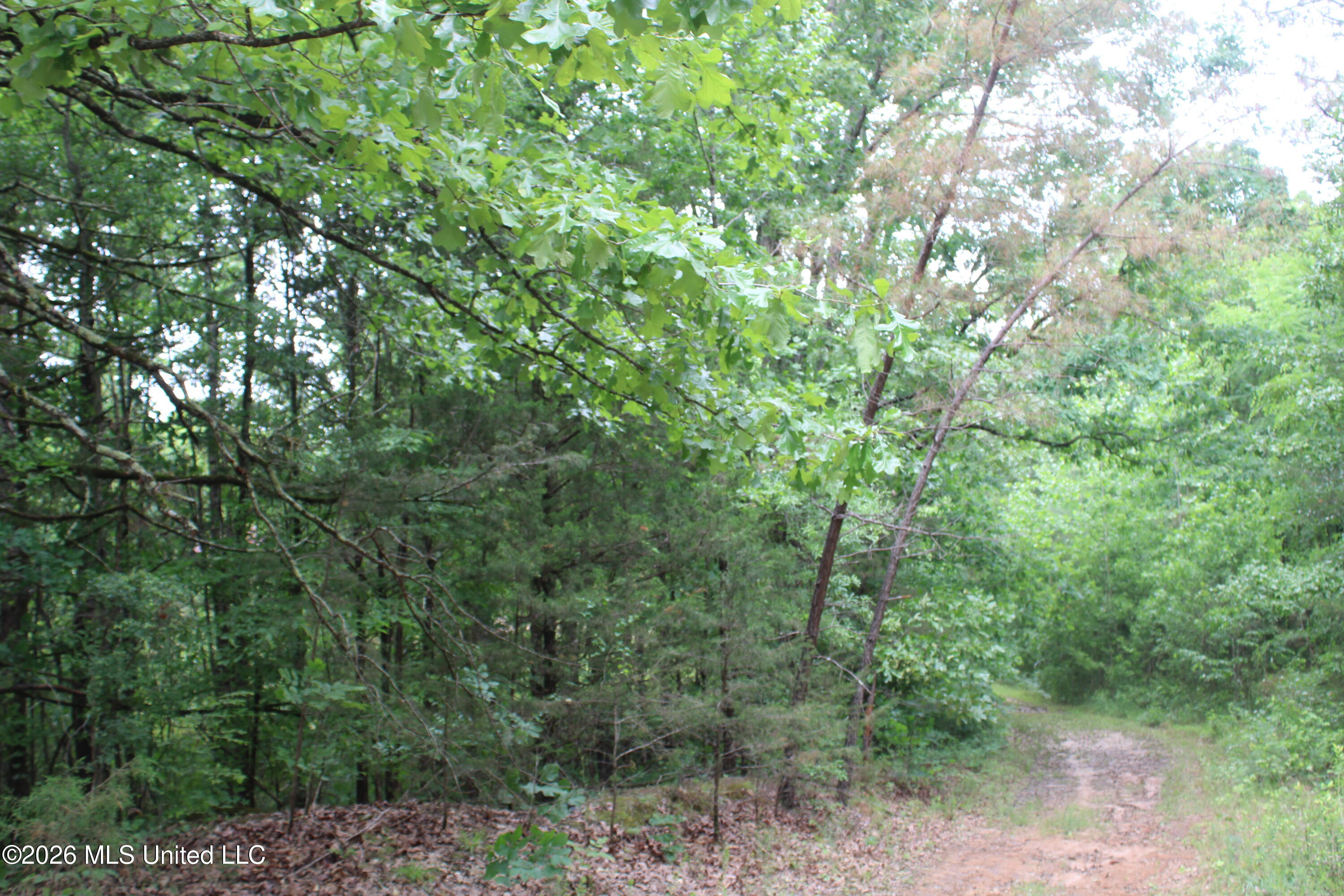 590 Richmond Road Property Photo 16