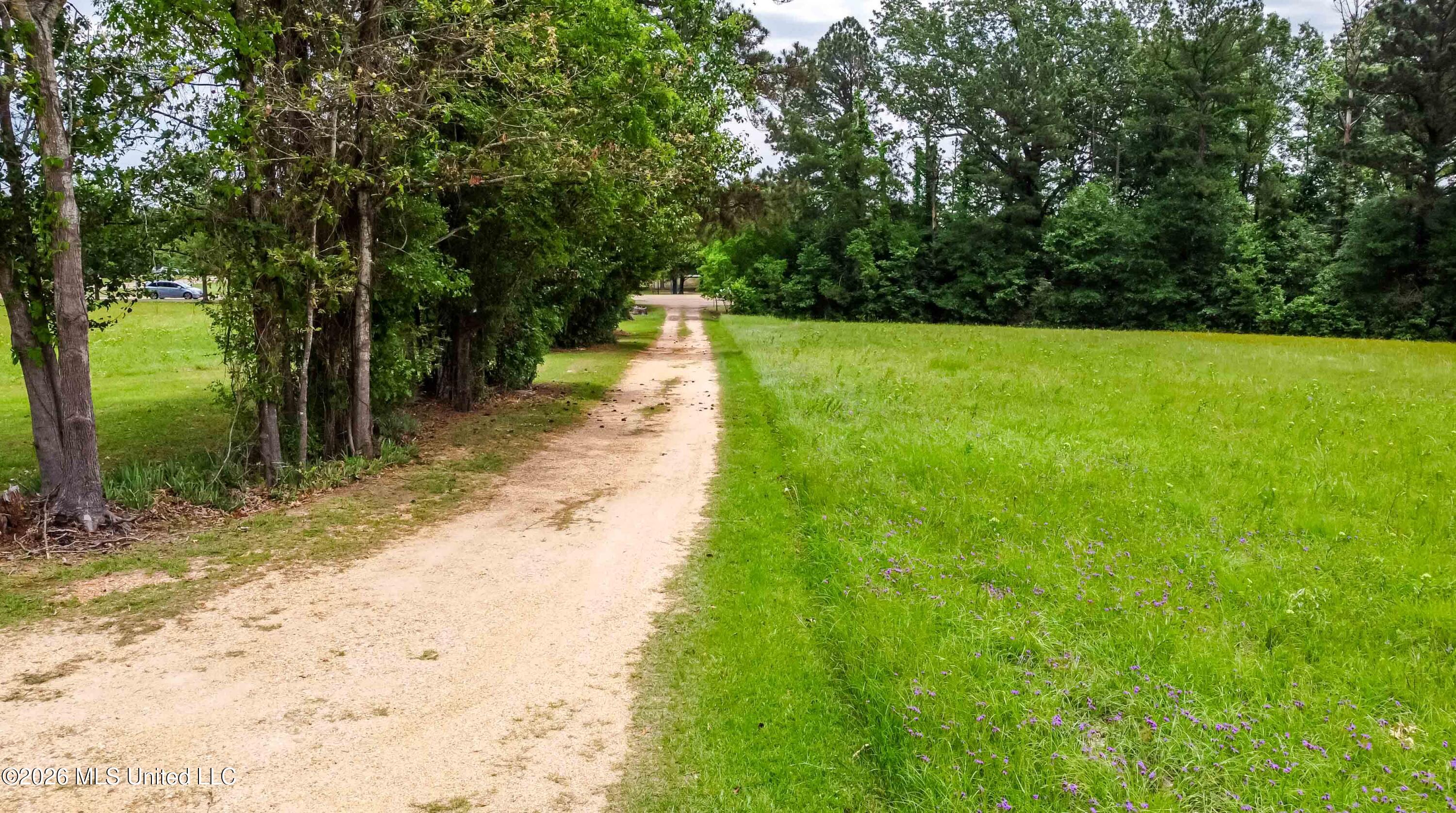 1668 Old Fannin Road Property Photo 6