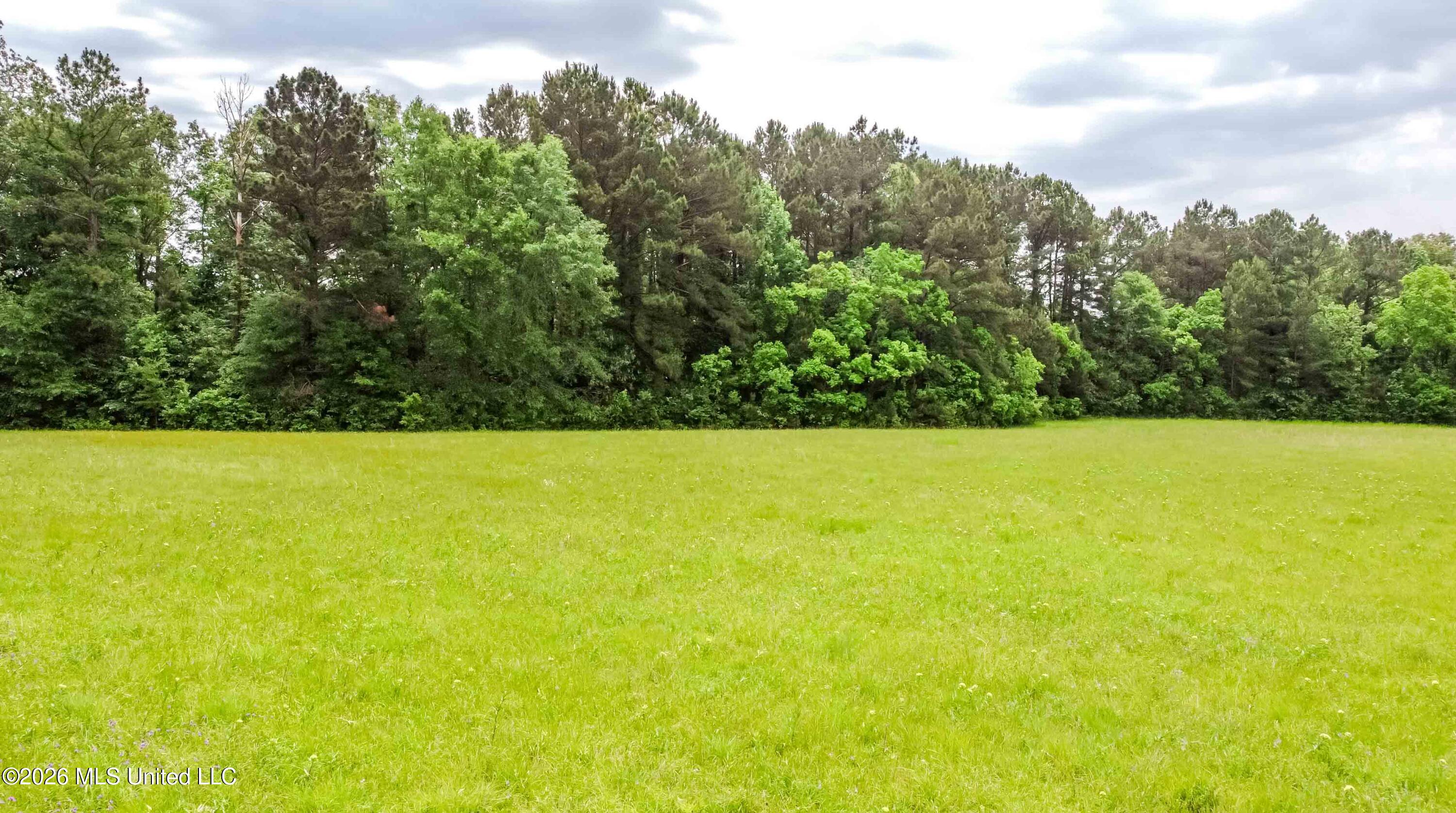 1668 Old Fannin Road Property Photo 7