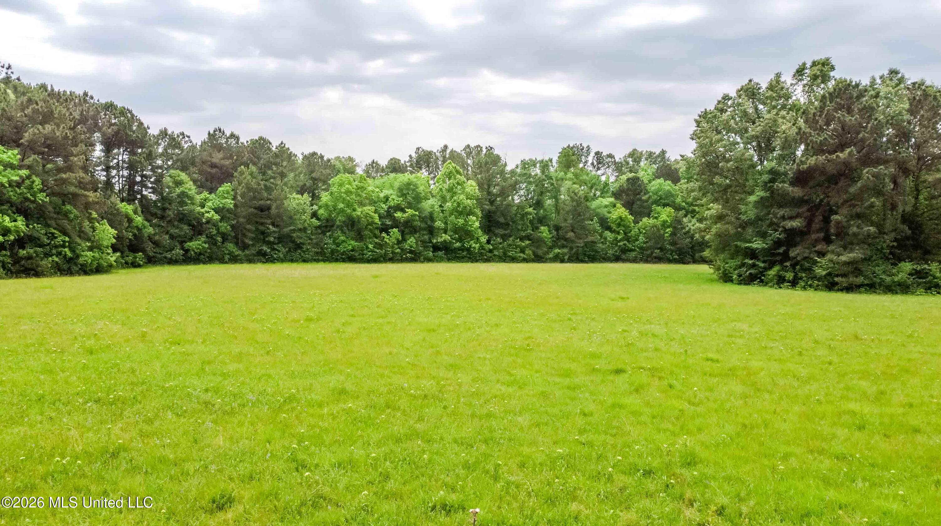 1668 Old Fannin Road Property Photo 8