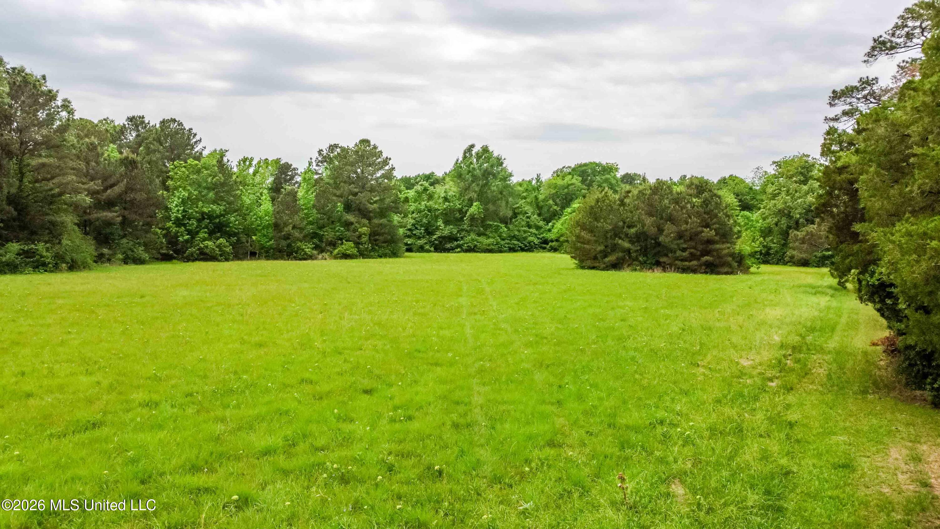 1668 Old Fannin Road Property Photo 9