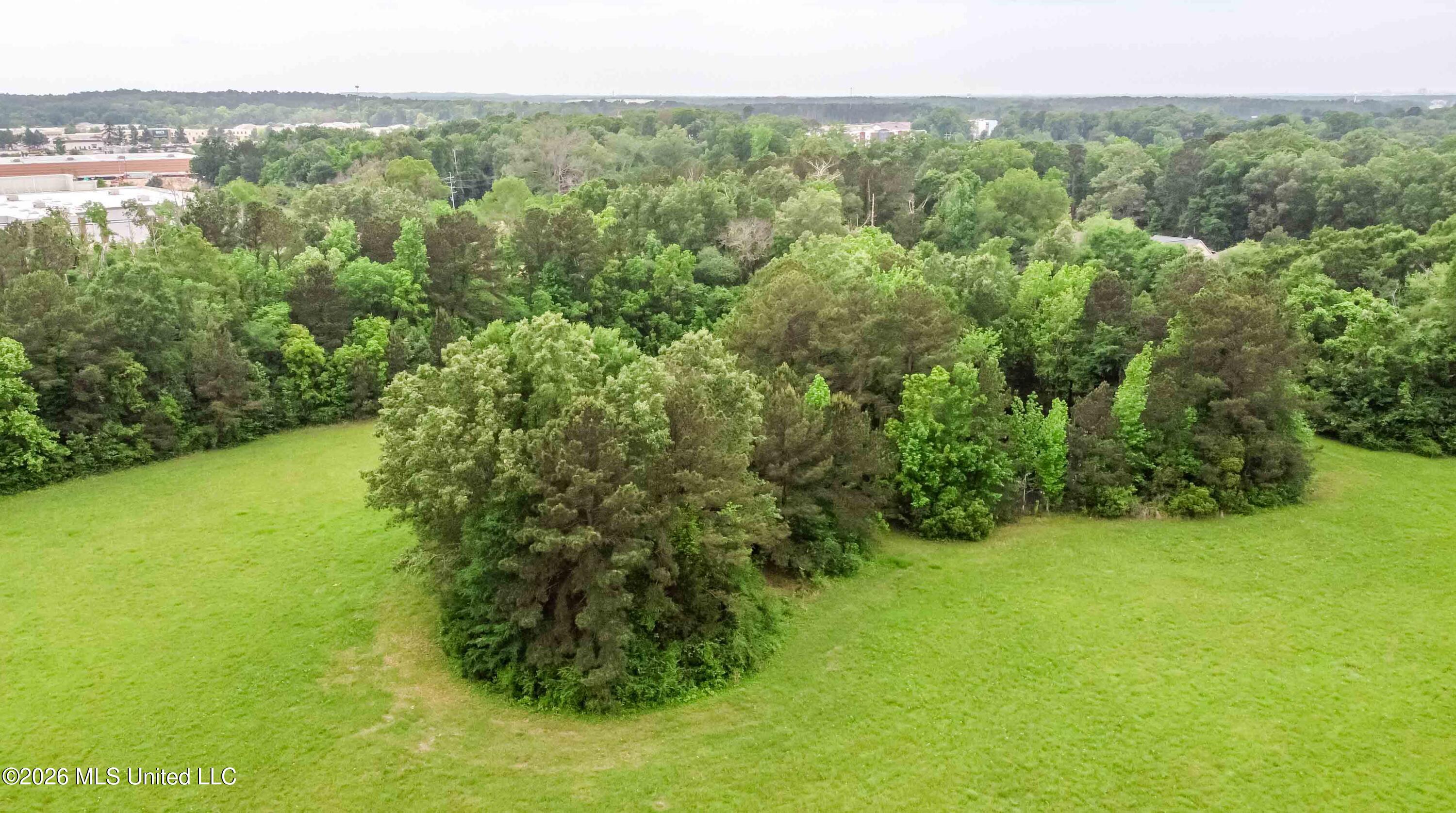 1668 Old Fannin Road Property Photo 10