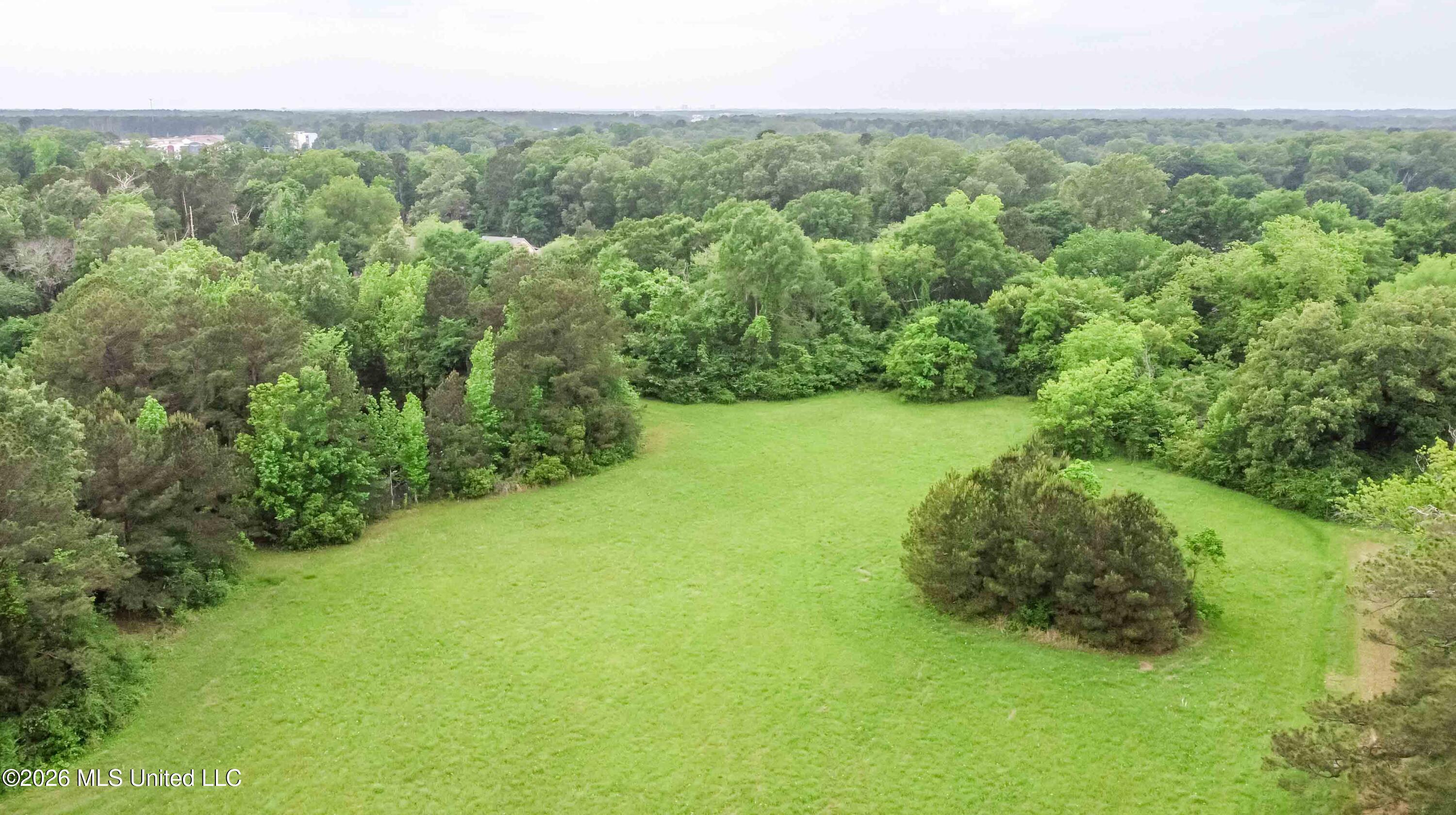1668 Old Fannin Road Property Photo 11