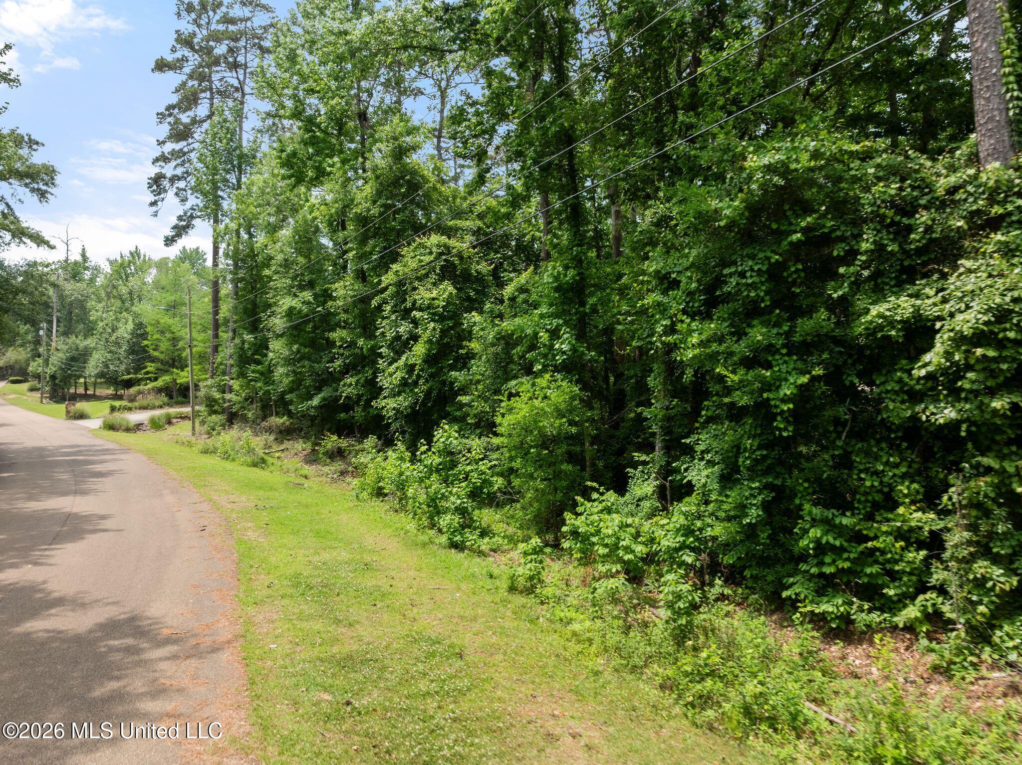 21 Shady Creek Trail Property Photo 65