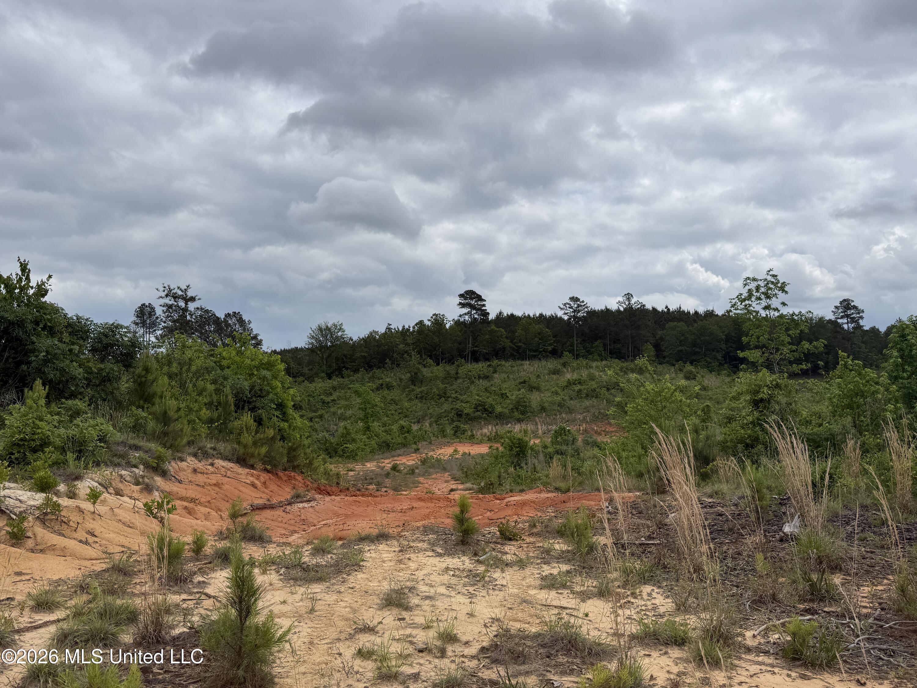 County Road 5223 Property Photo 2