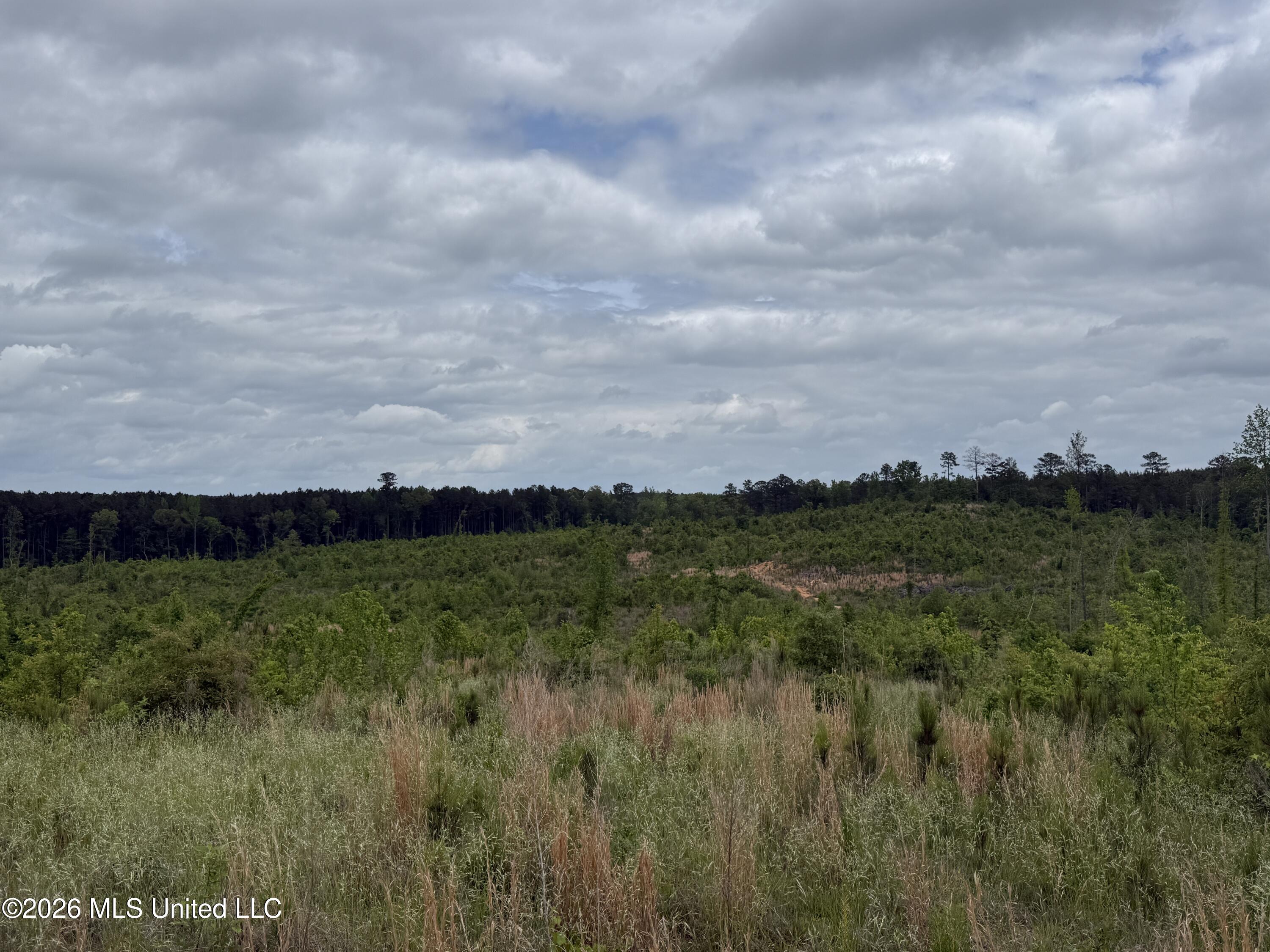 County Road 5223 Property Photo 5