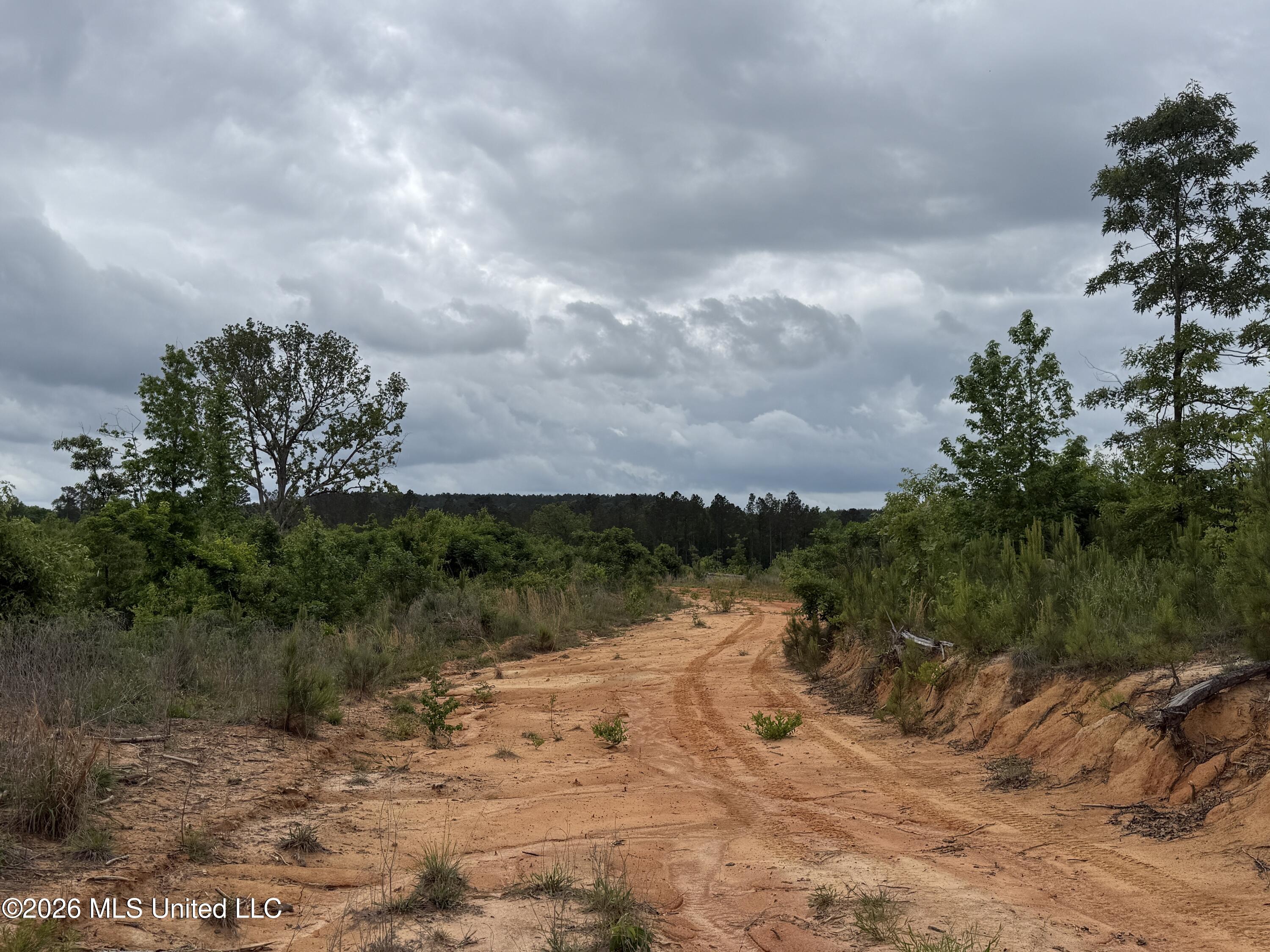 County Road 5223 Property Photo 6