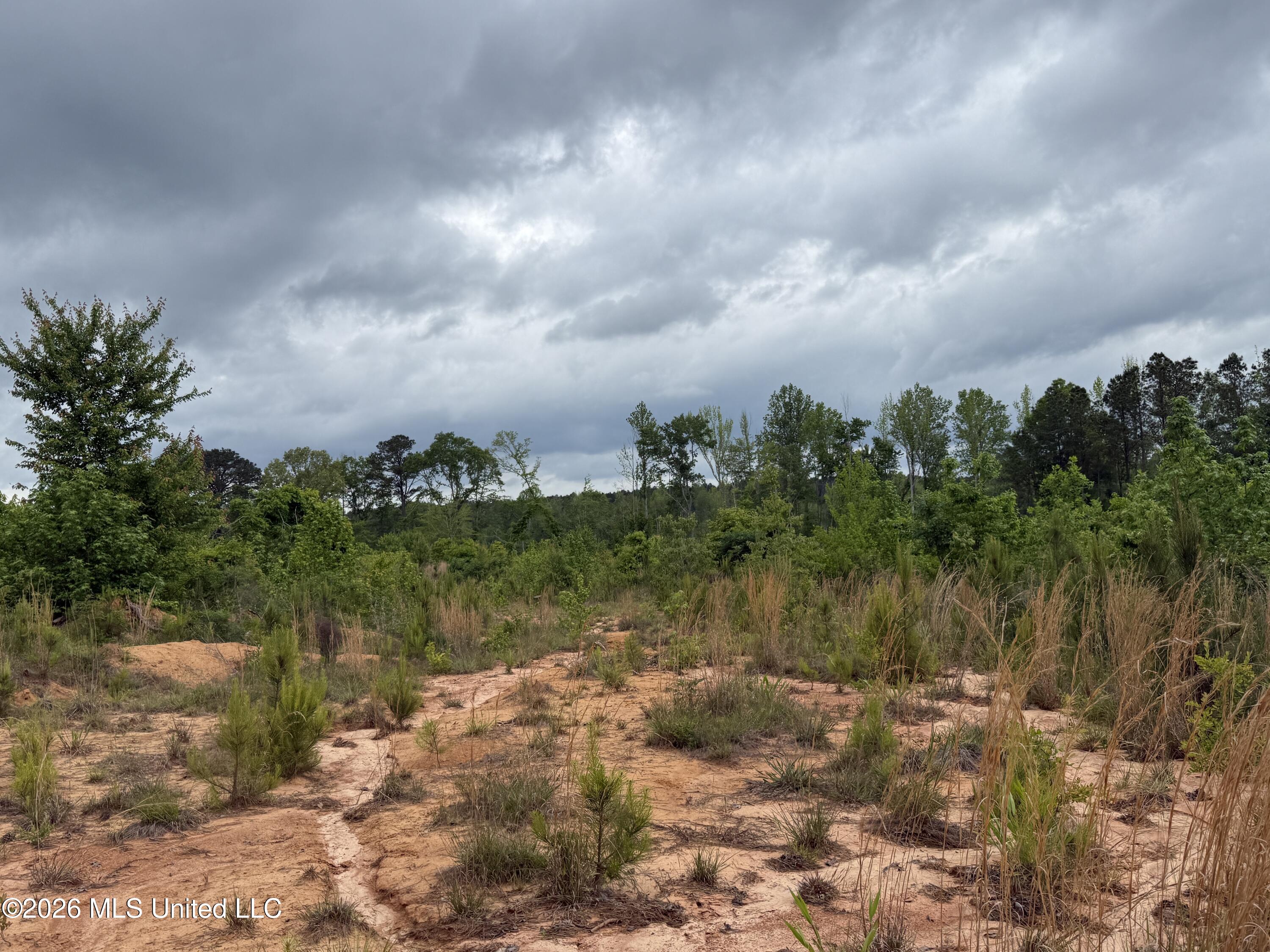 County Road 5223 Property Photo 8