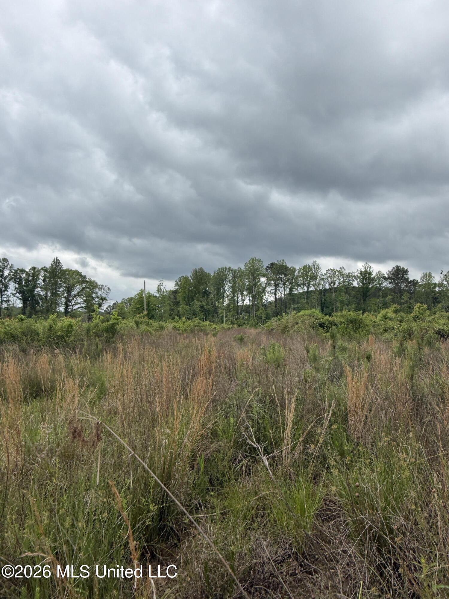 County Road 5223 Property Photo 10
