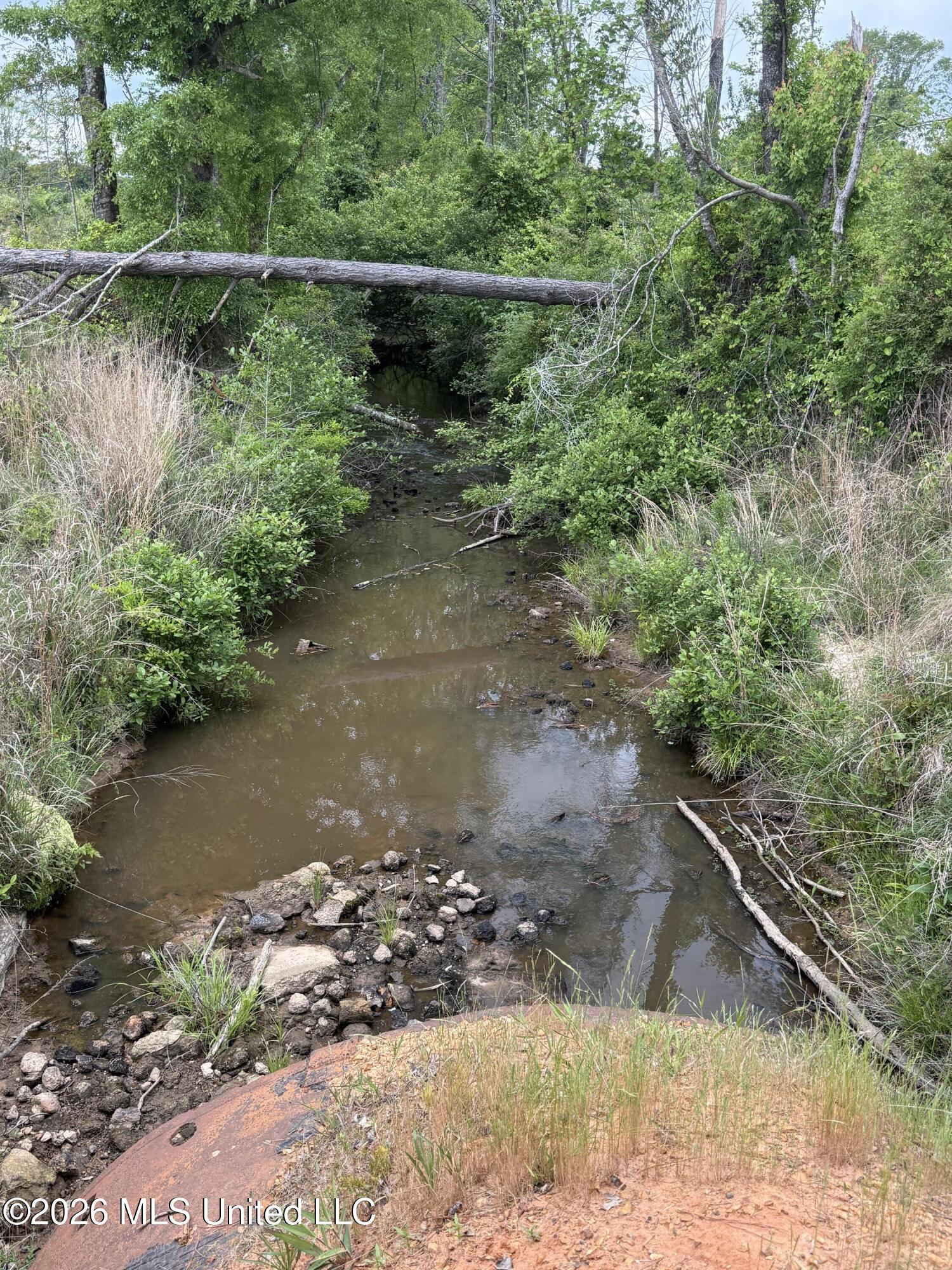 County Road 5223 Property Photo 11