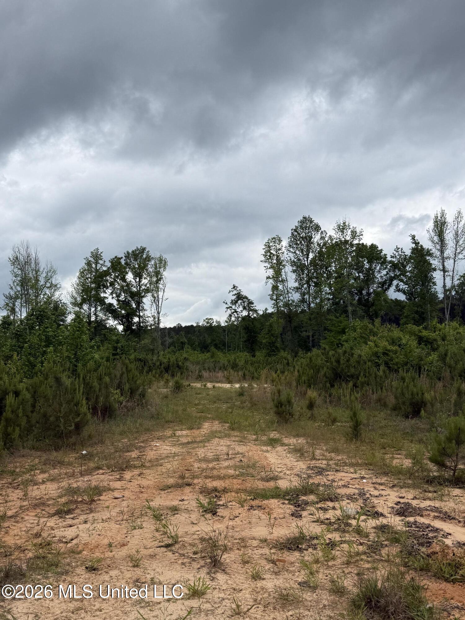 County Road 5223 Property Photo 12
