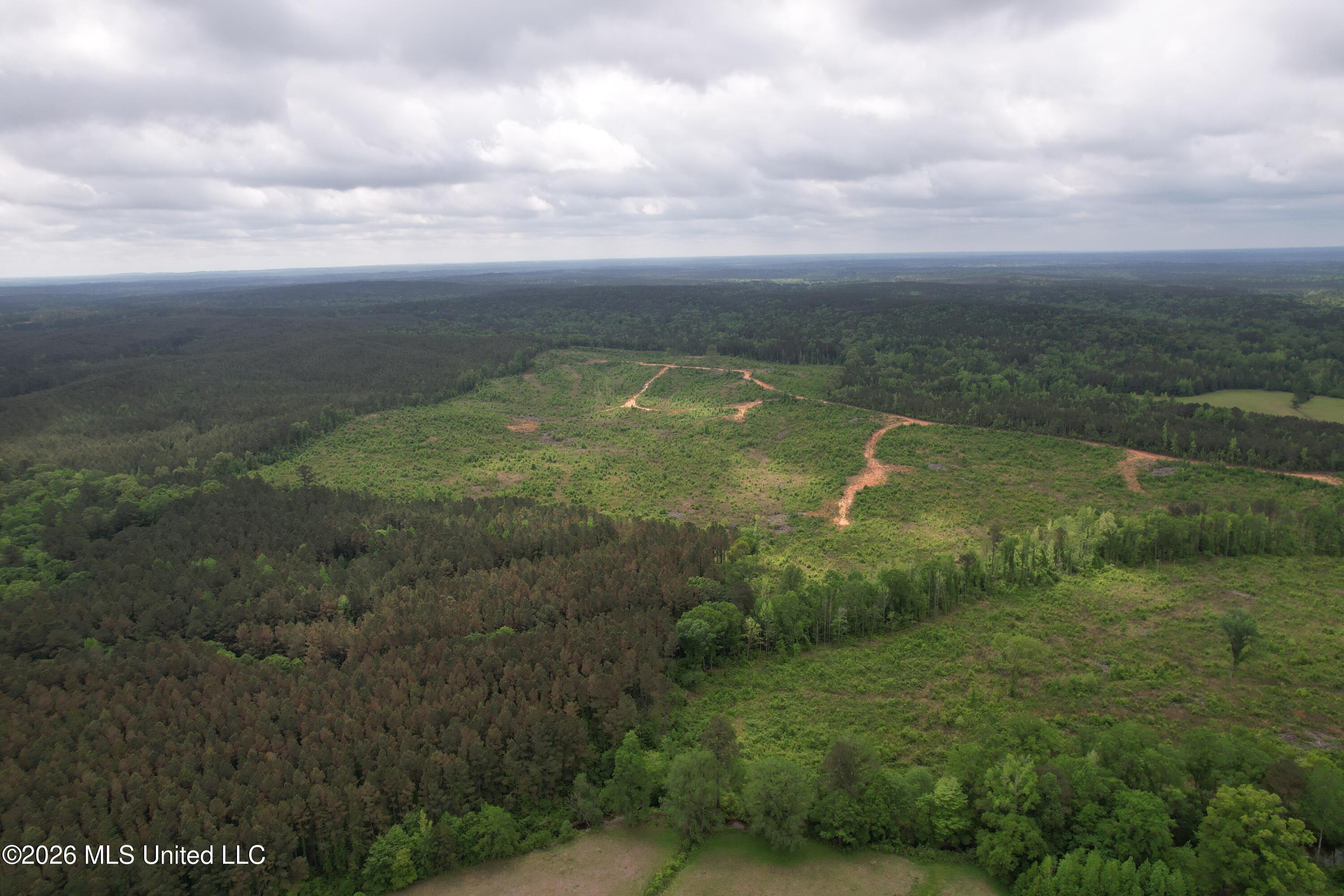 County Road 5223 Property Photo 20