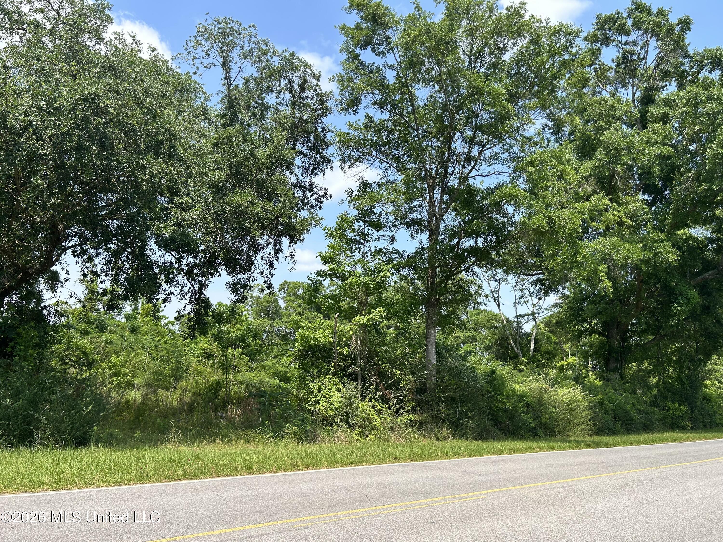 Basin School Road Property Photo 13