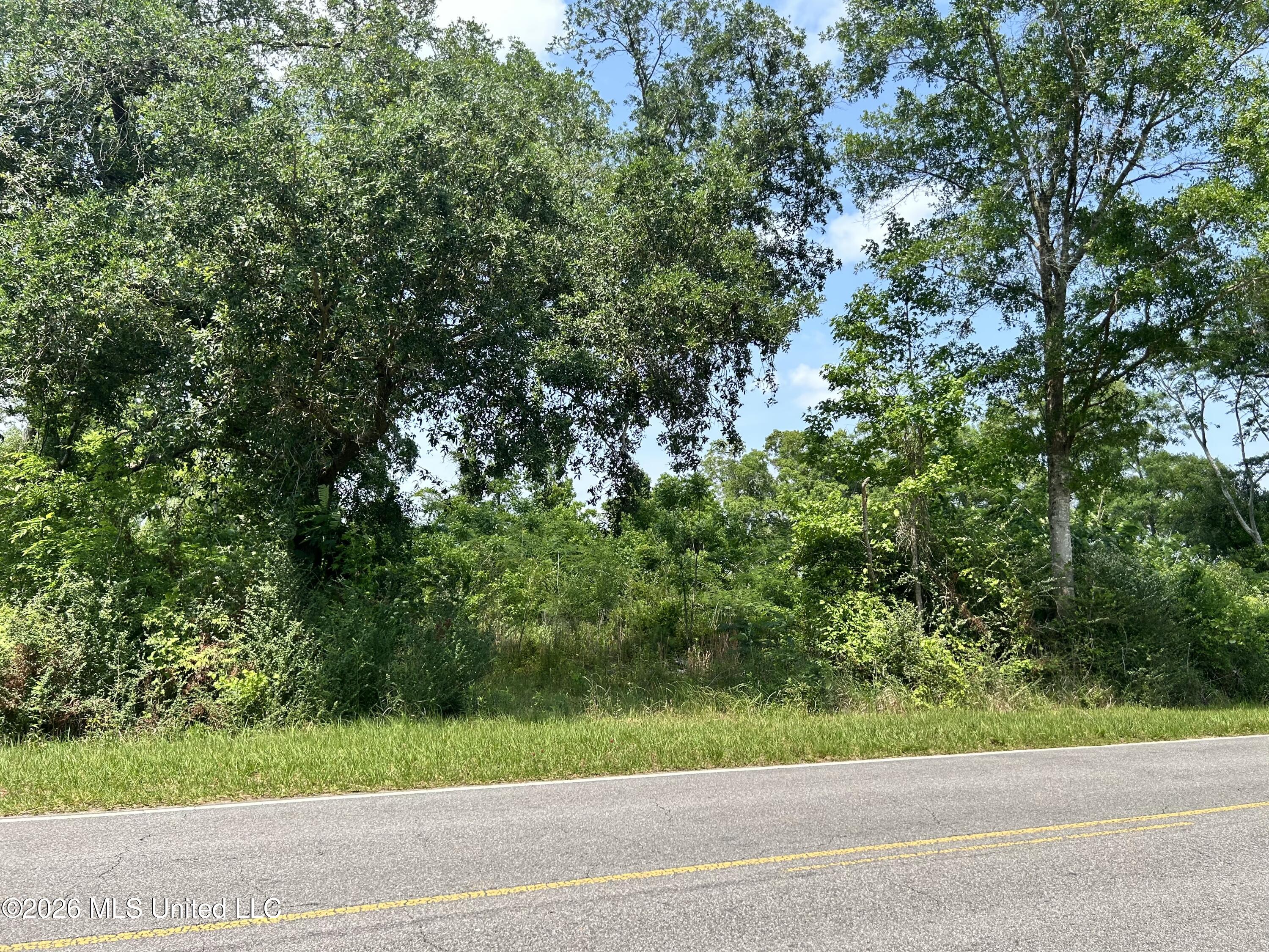 Basin School Road Property Photo 15